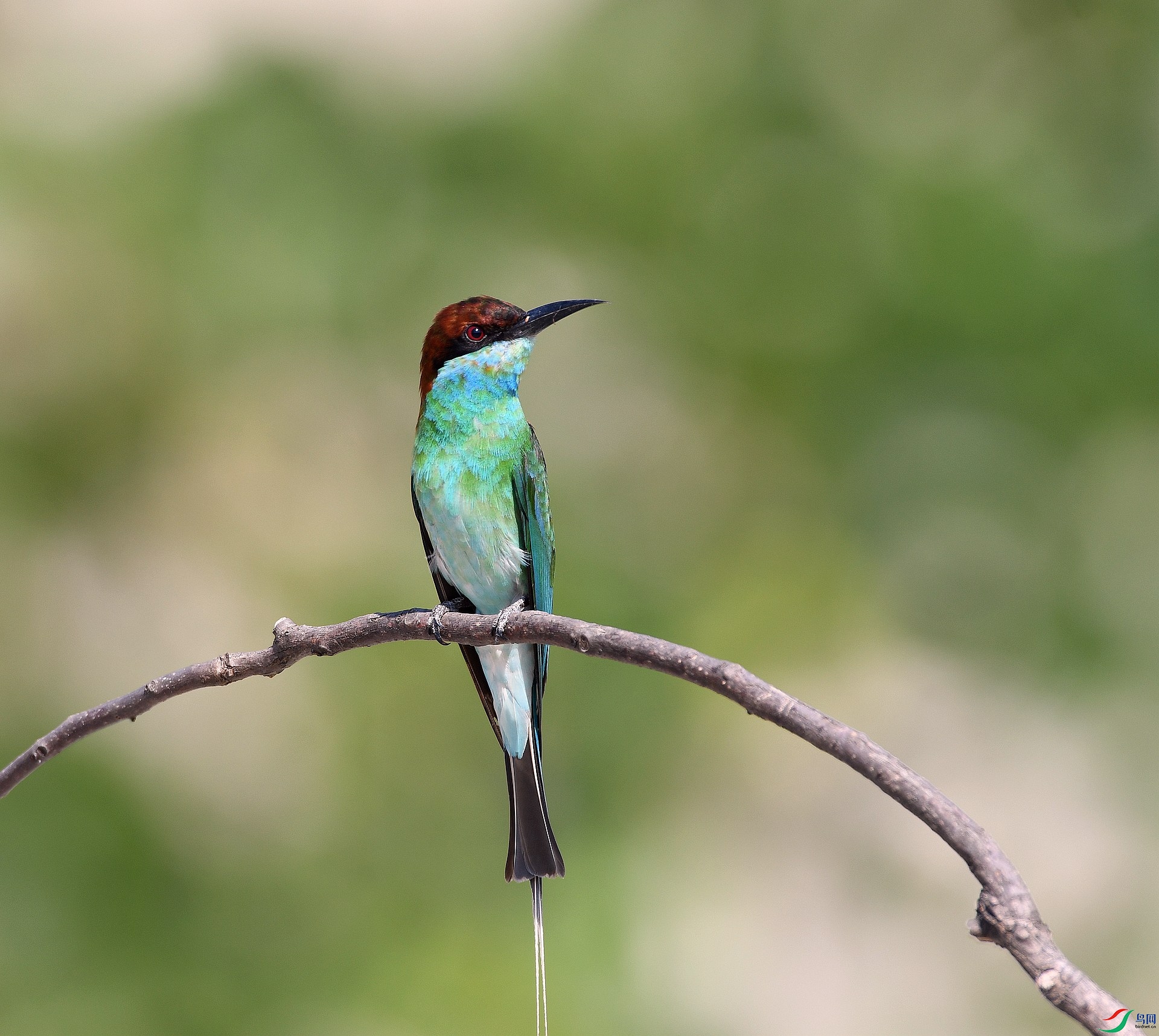 DSC_5490.jpg