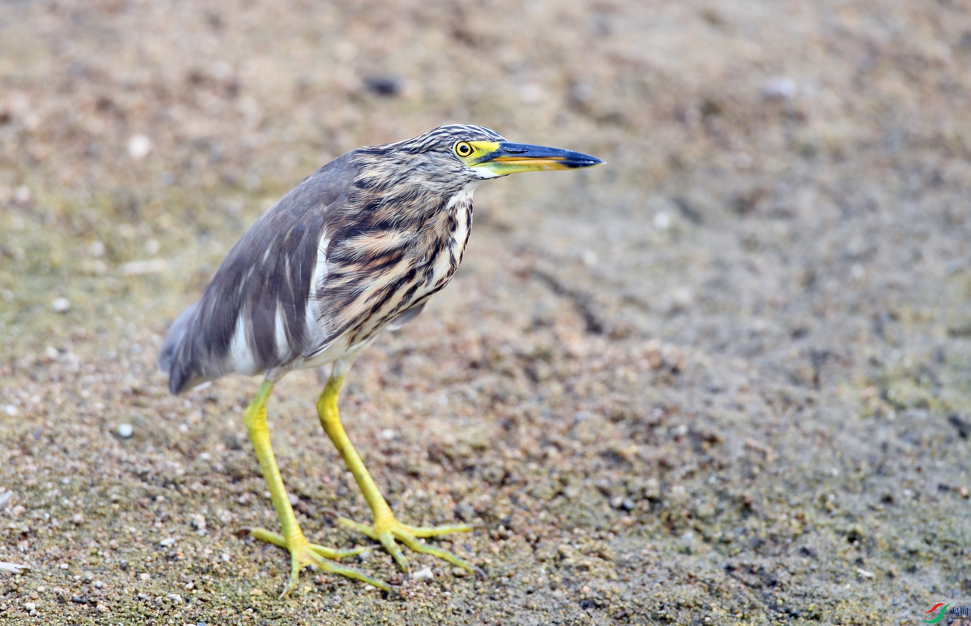 DSC_0754.jpg