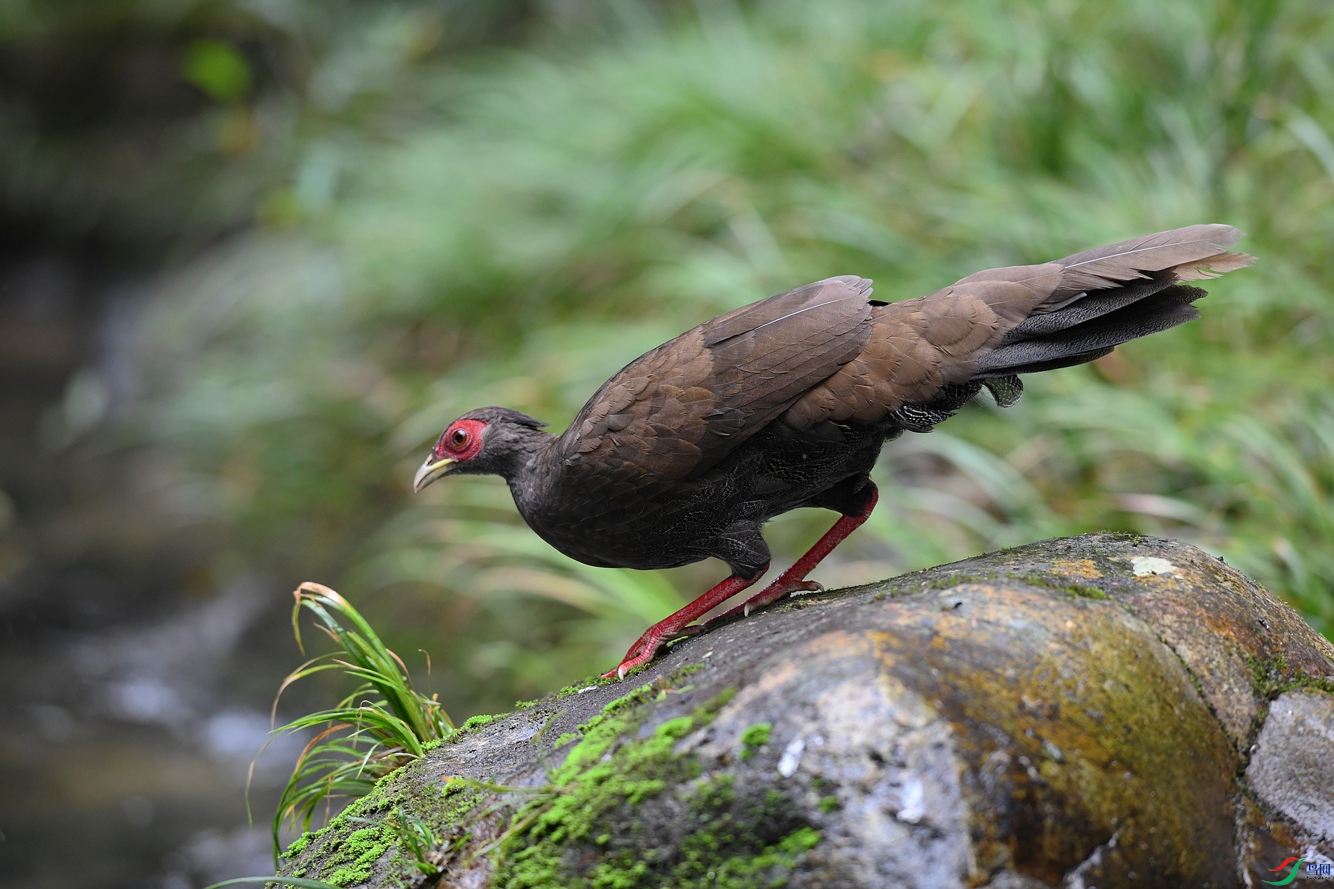 DSC_7750.jpg