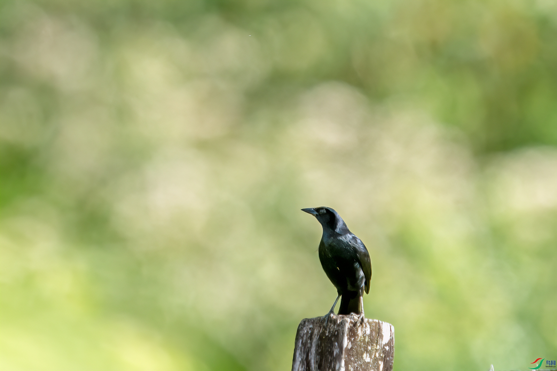_DSC3124-1.jpg