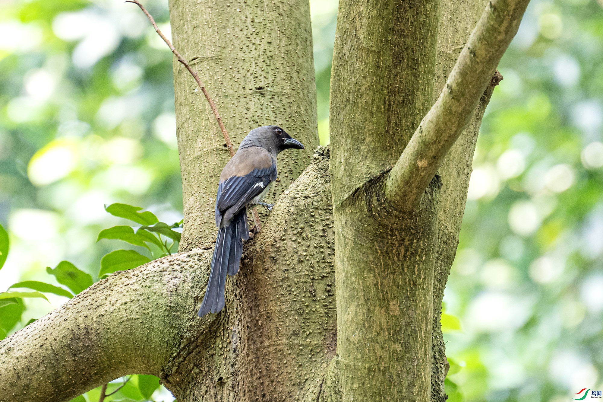 DSC_6465.jpg