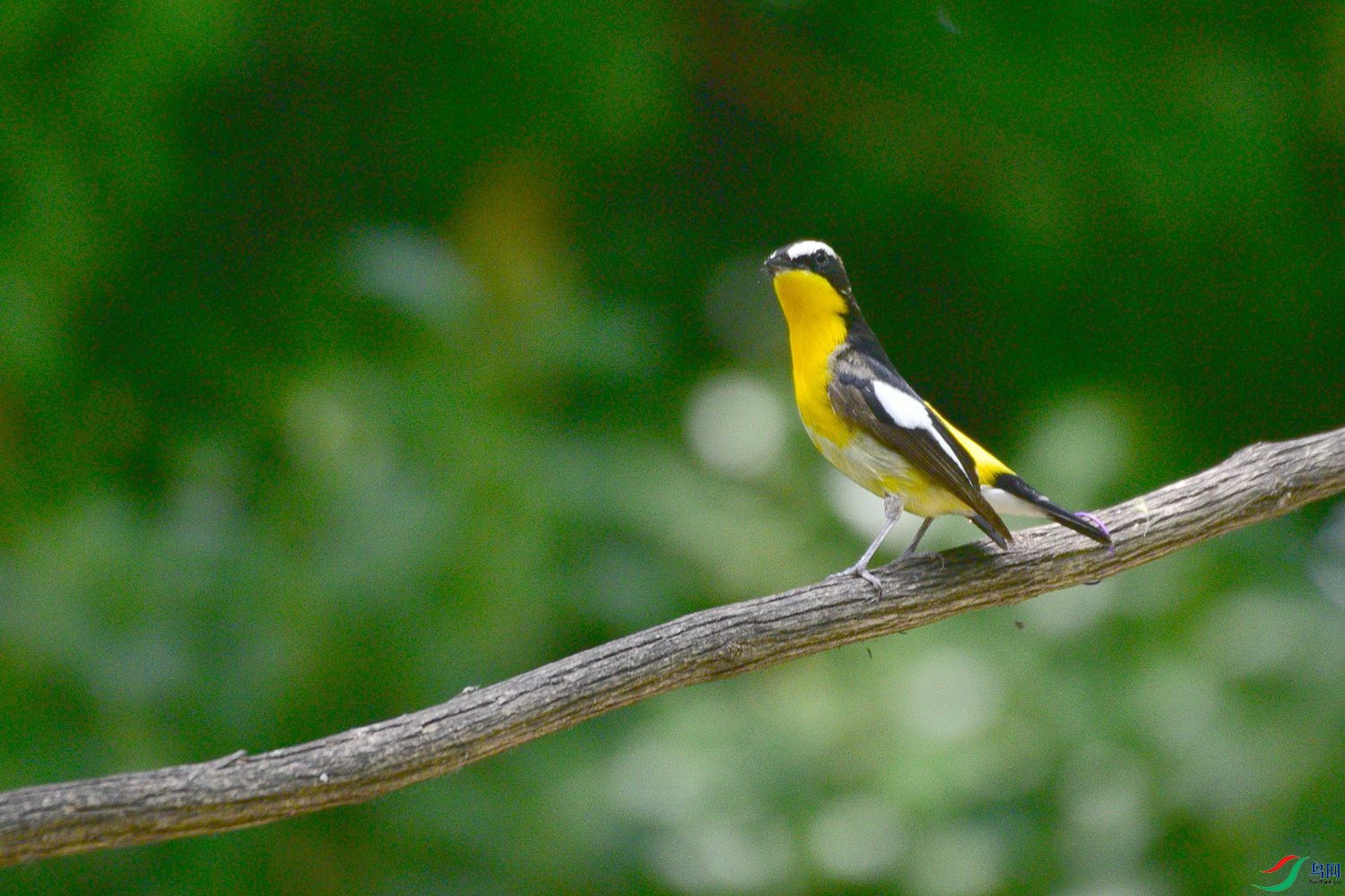 DSC_6047.JPG