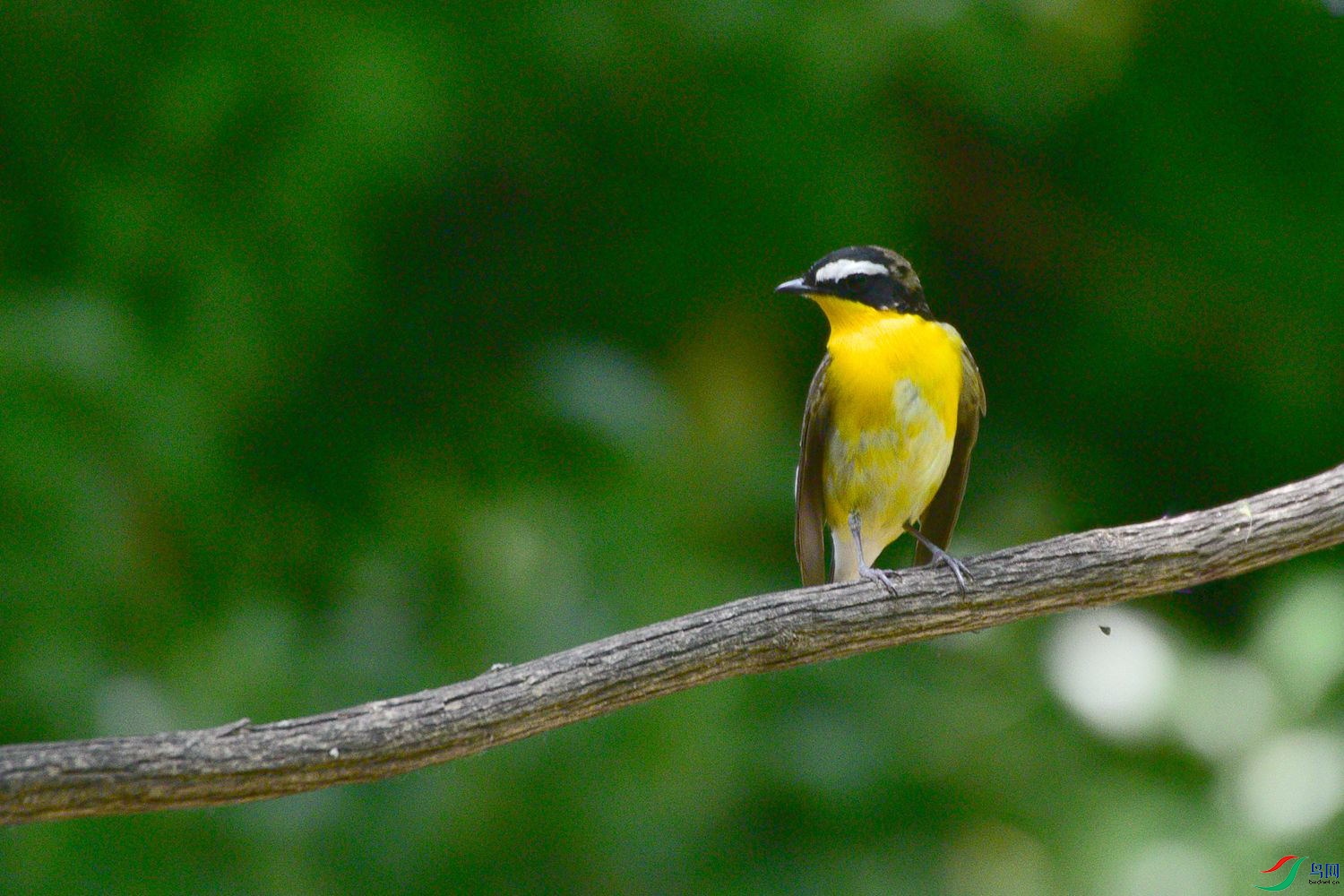 DSC_6074.JPG