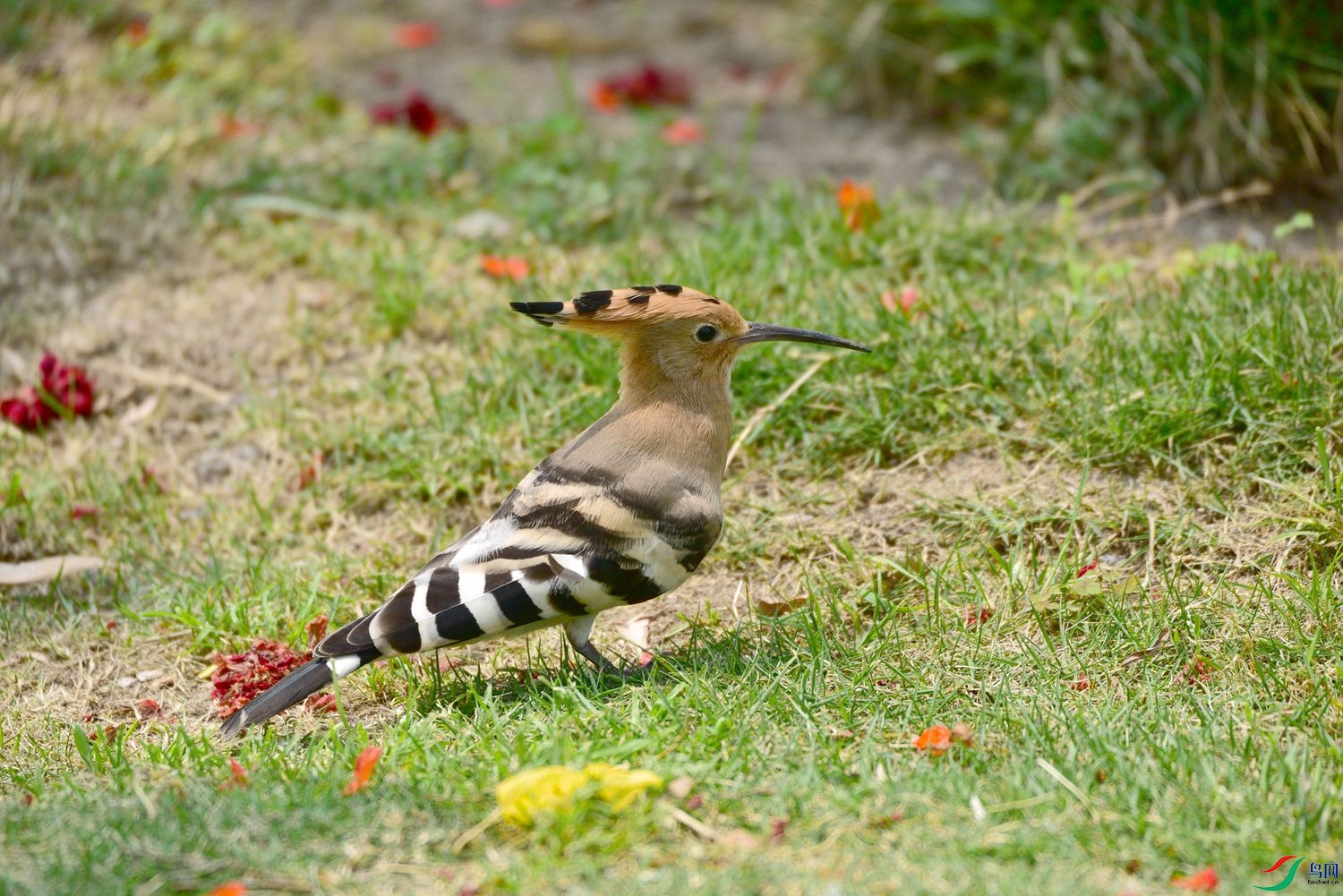 DSC_8017.JPG