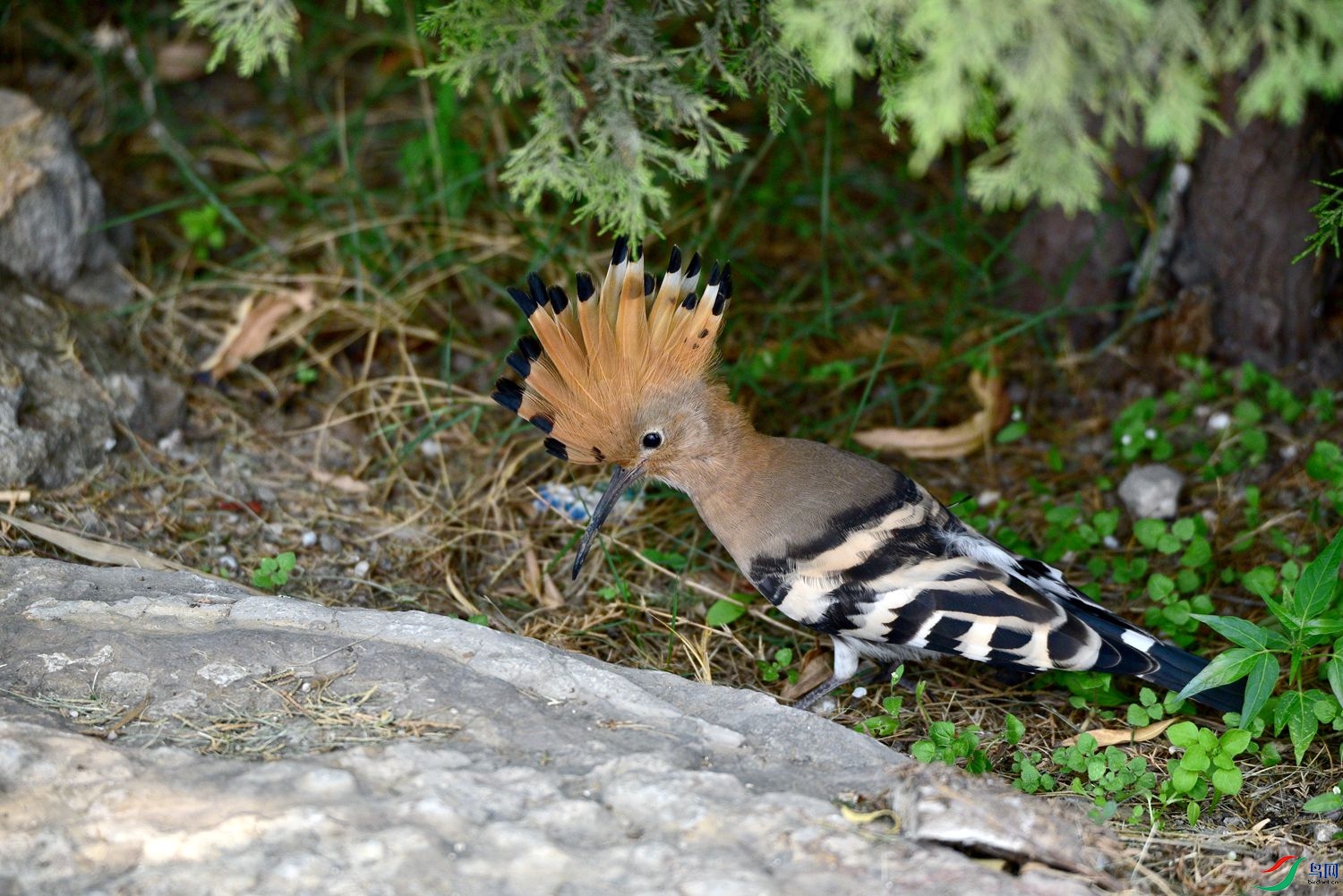 DSC_8051.JPG