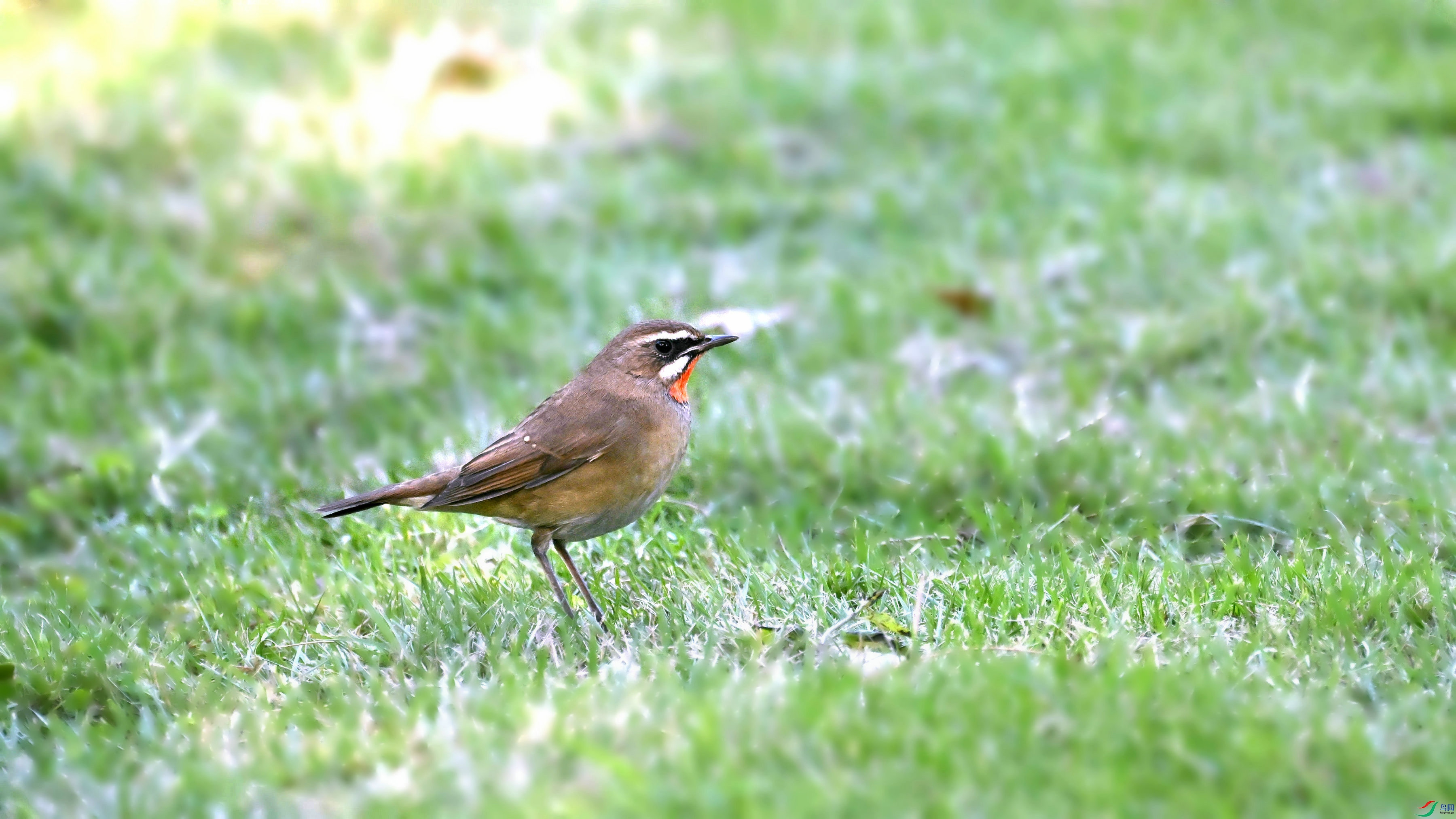 DSC_5875.JPG