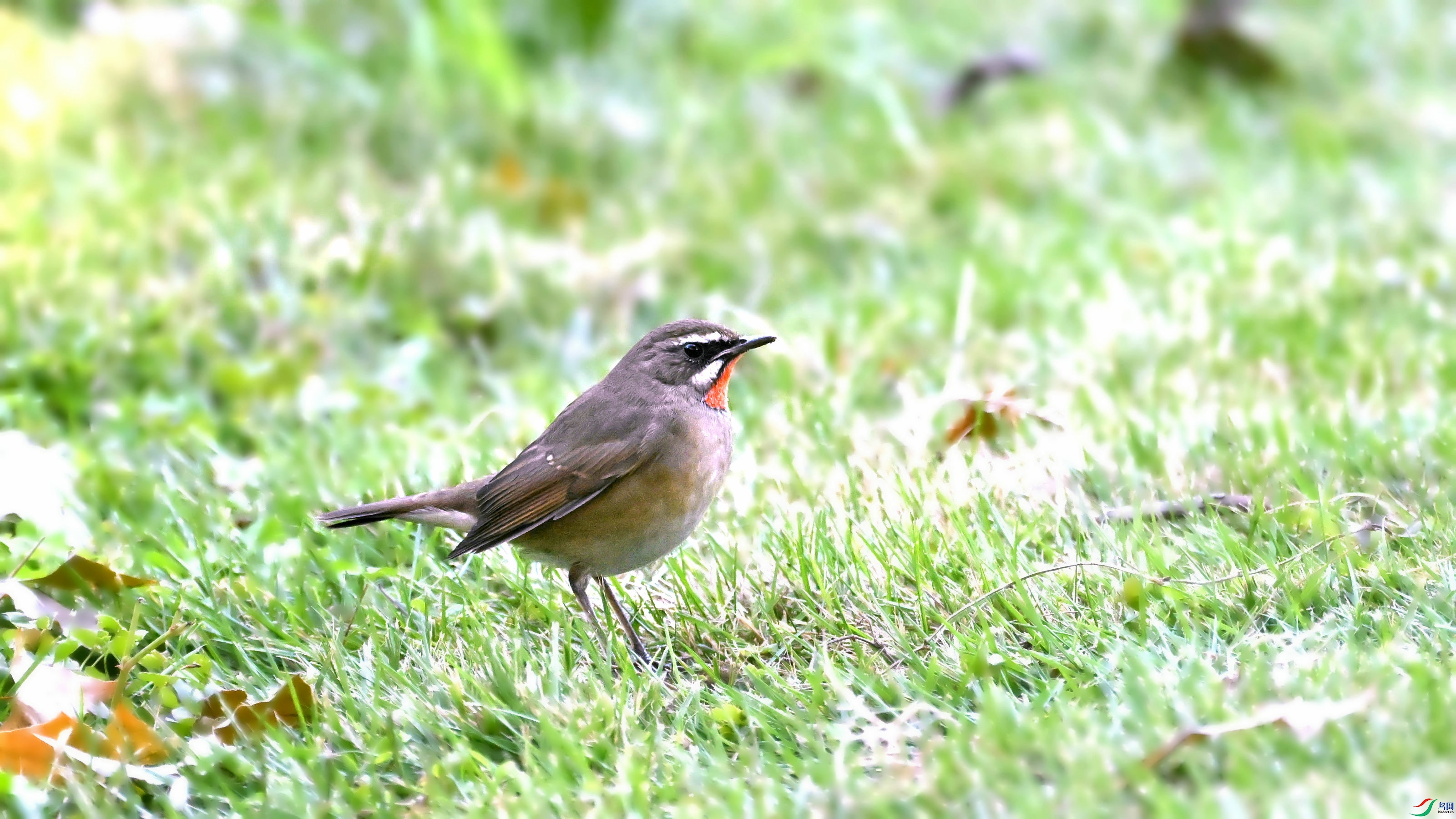 DSC_5864.JPG