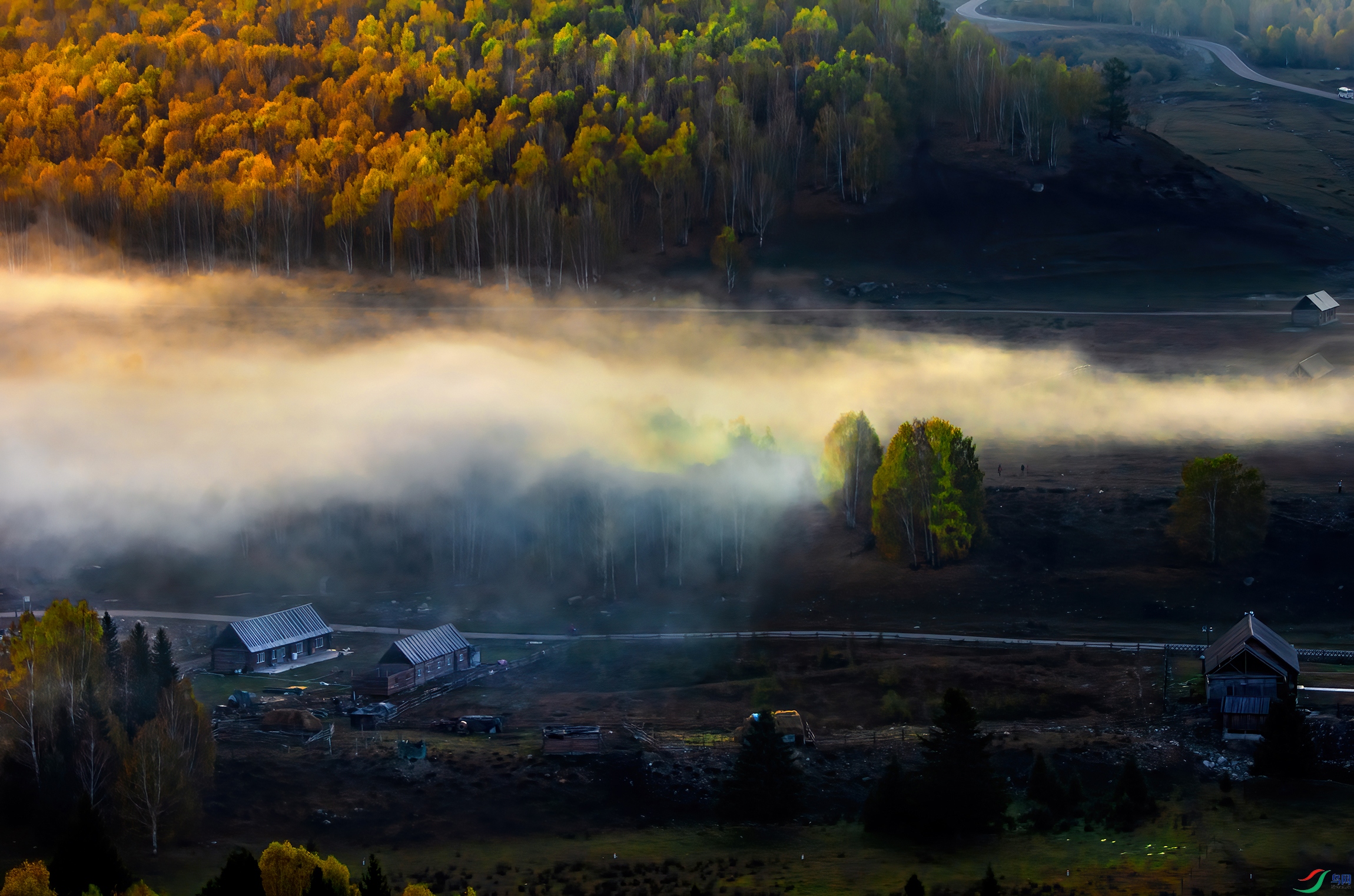_DSC9250- ��ľ����AAA.jpg