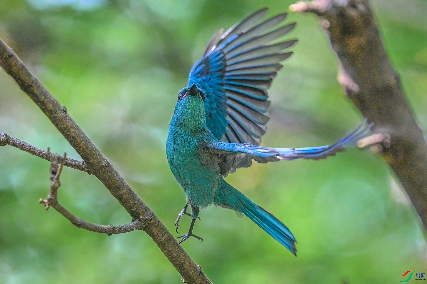 DSC_5937b.jpg