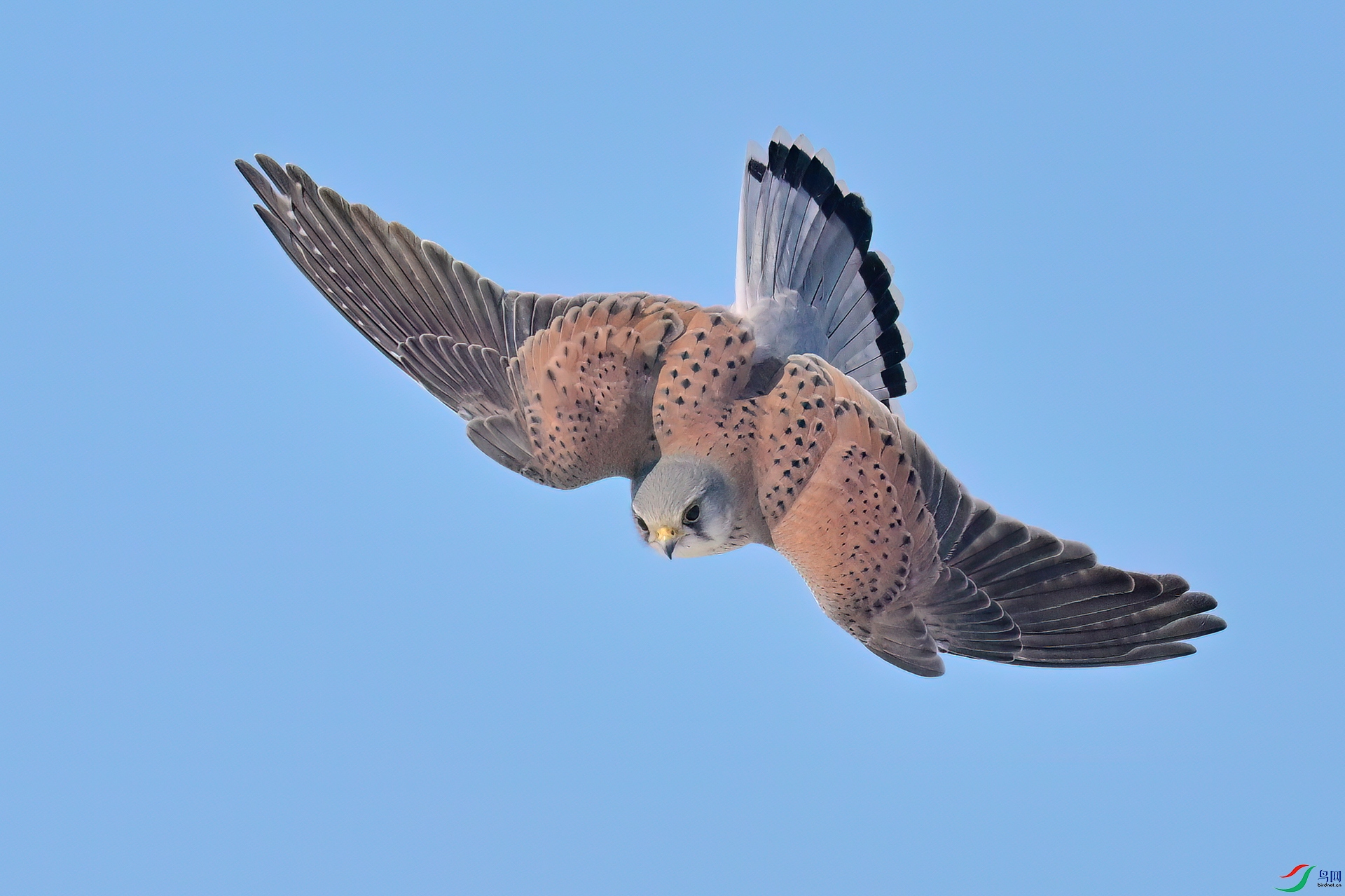 DSC_0840.jpg