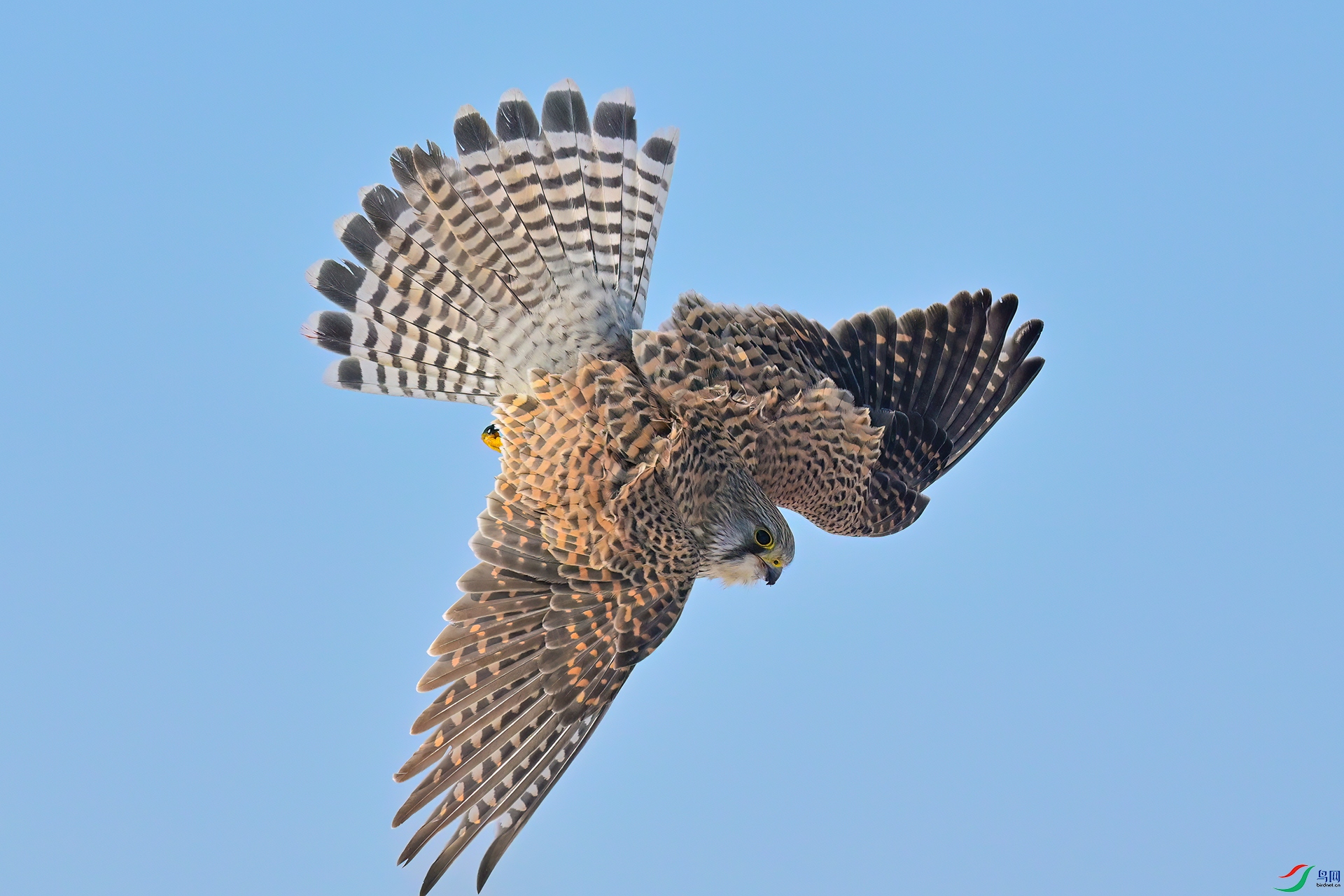 DSC_1220.jpg