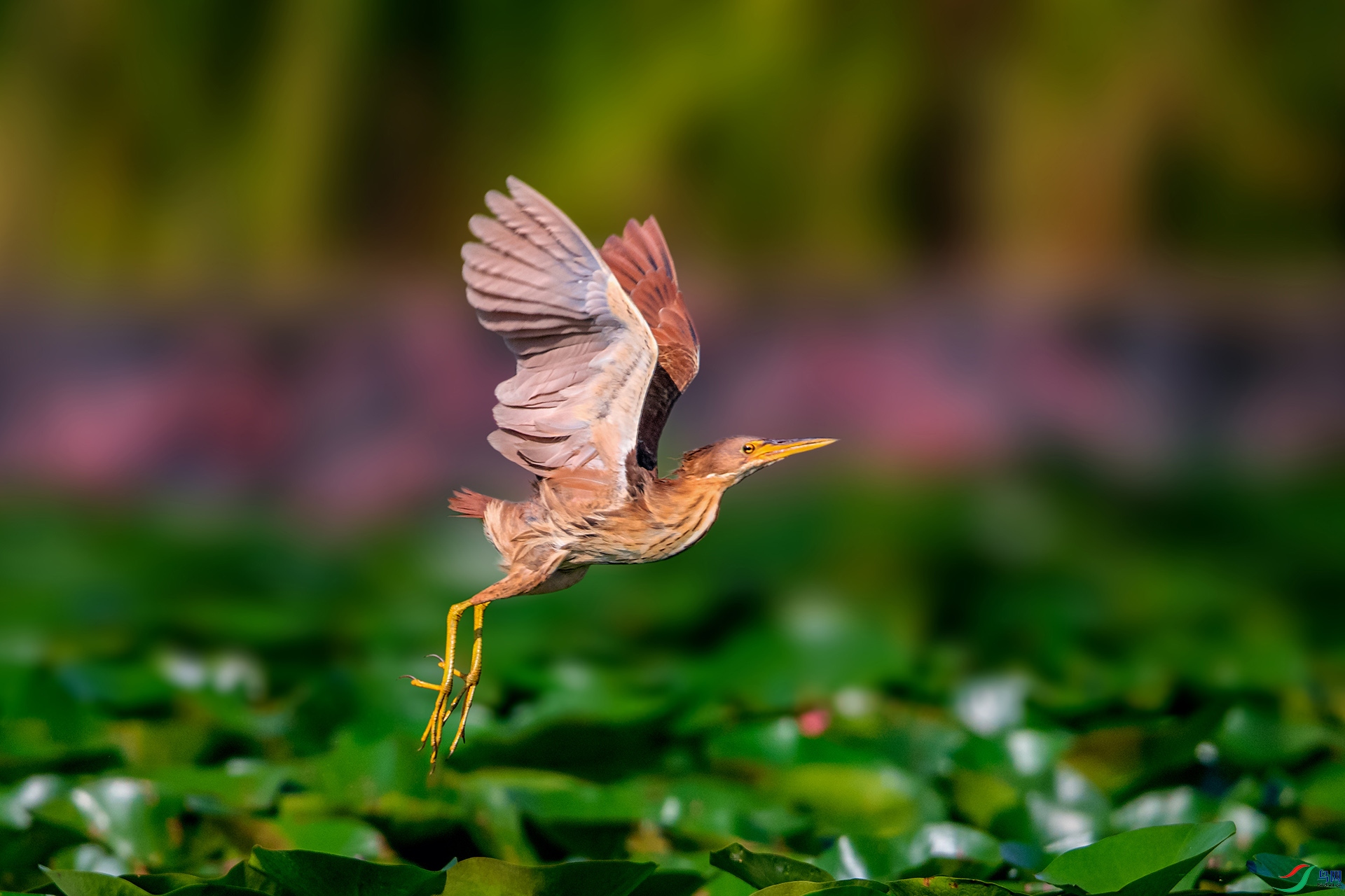 _AUU9103��έ�Z(24.8.13).jpg