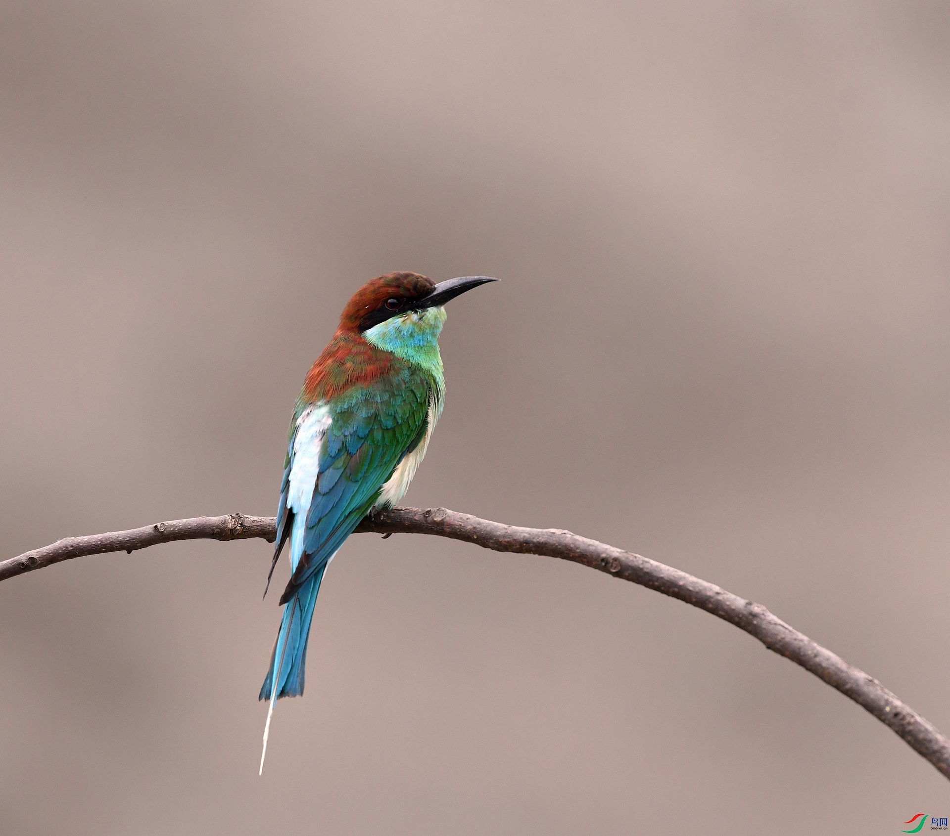 DSC_5236.jpg