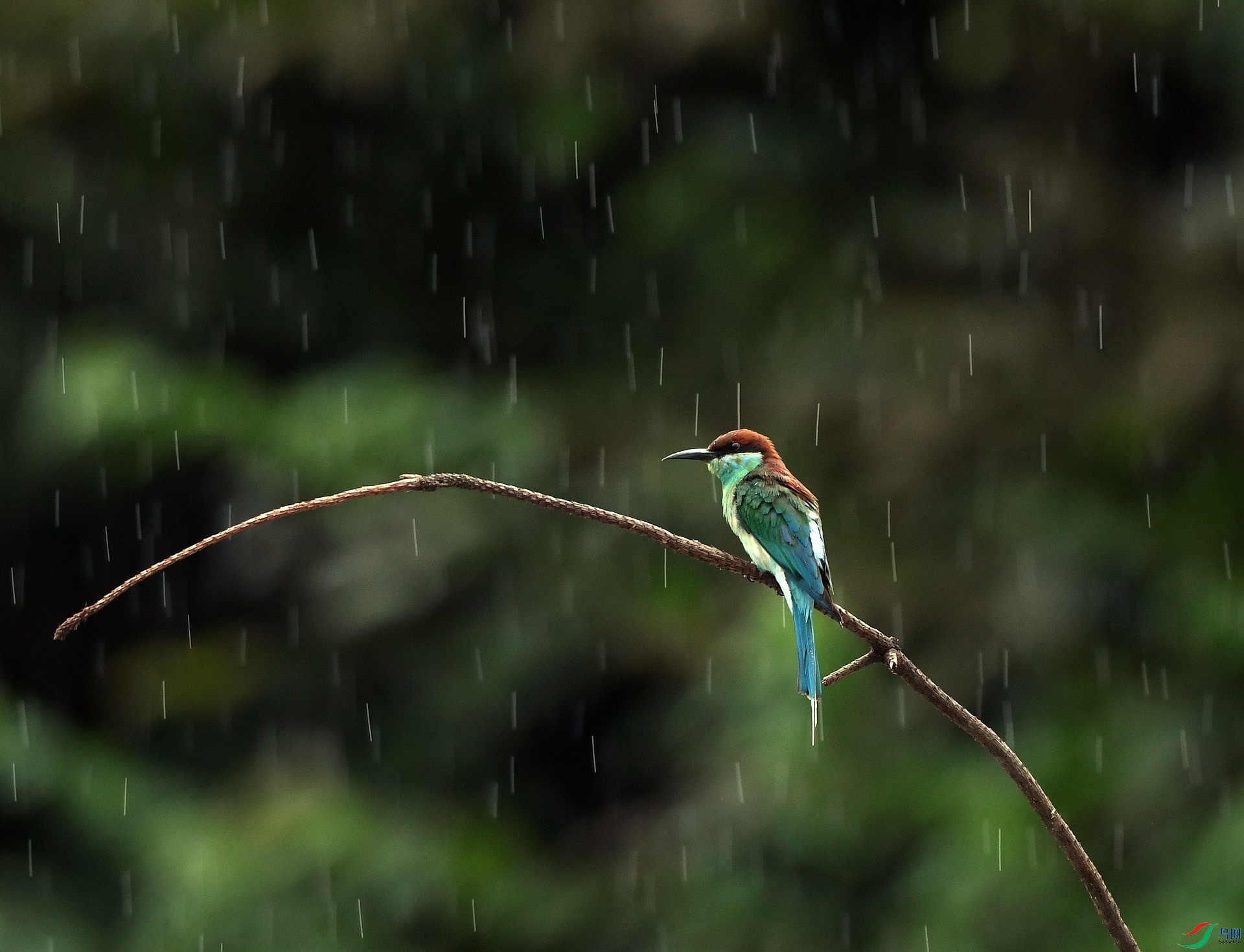DSC_5322.jpg