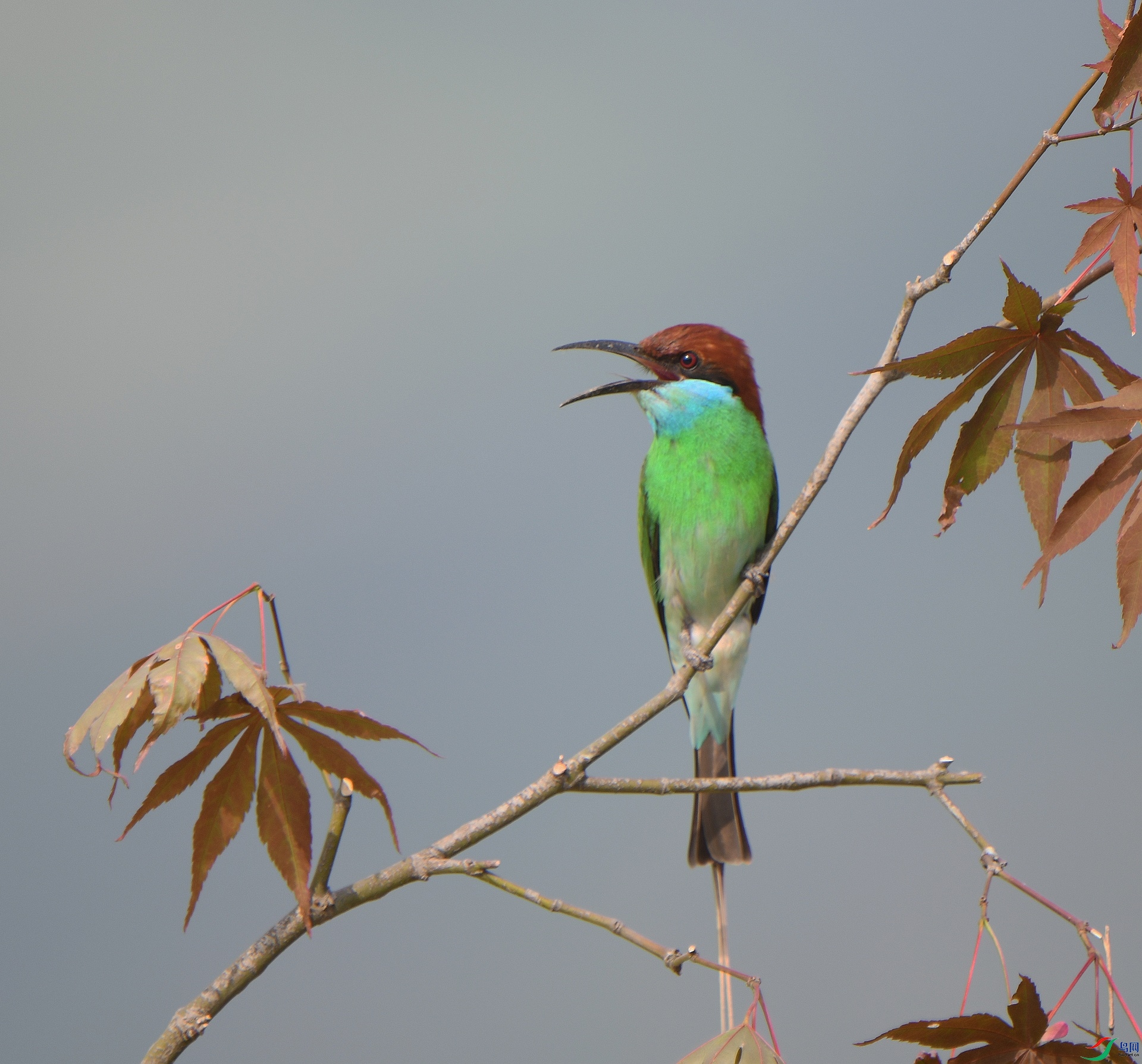 DSC_4940.jpg