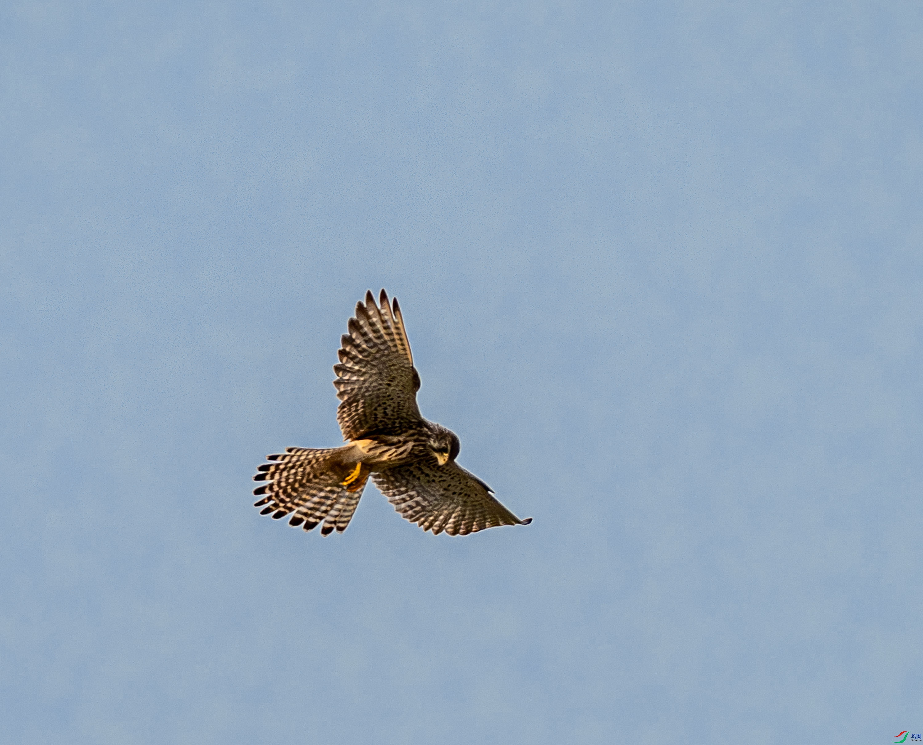 ���� (3 - 3).jpg