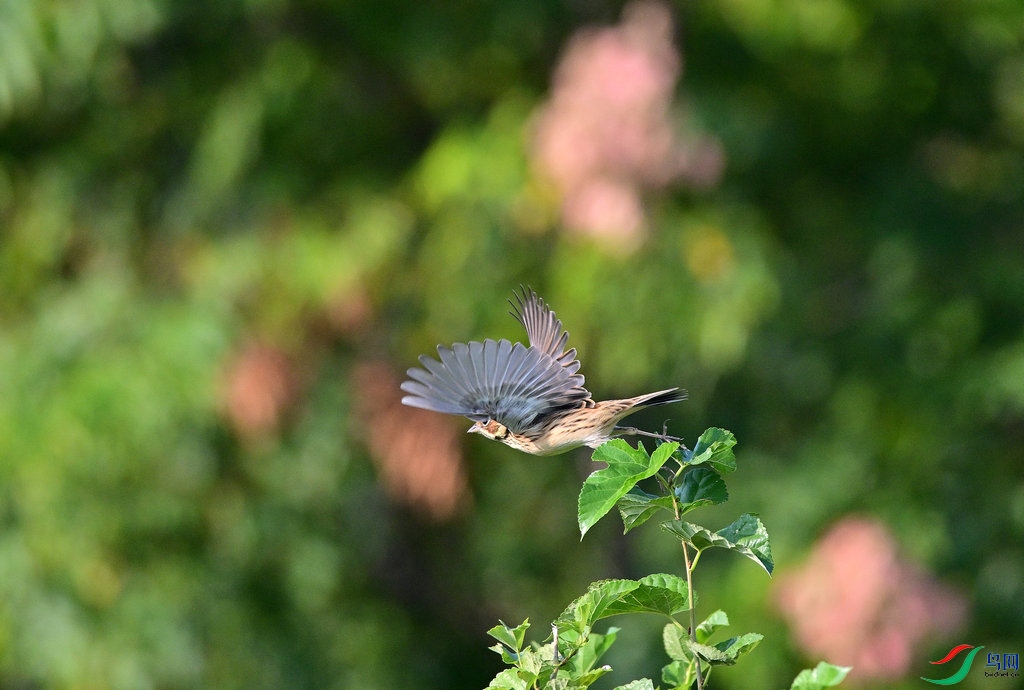 DSC_5430_����.JPG