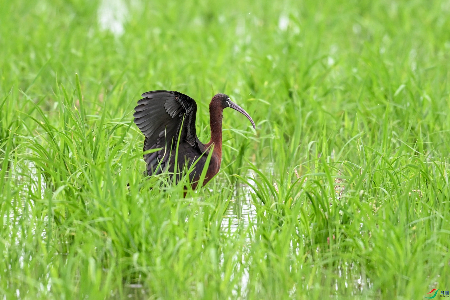 DSC_8275.JPG
