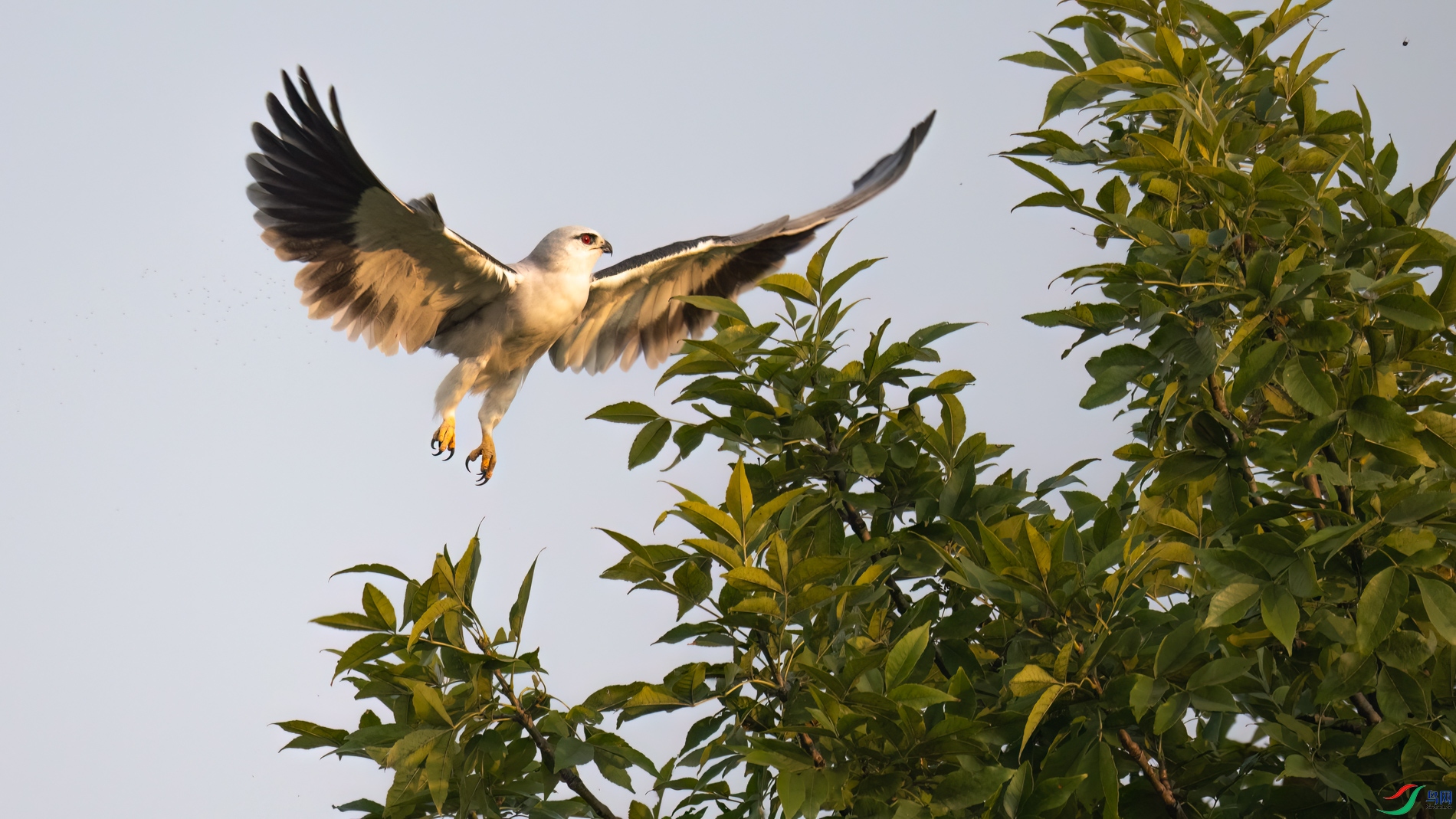 DSC_3203sen2026-9-21-03-�༭-2.jpg