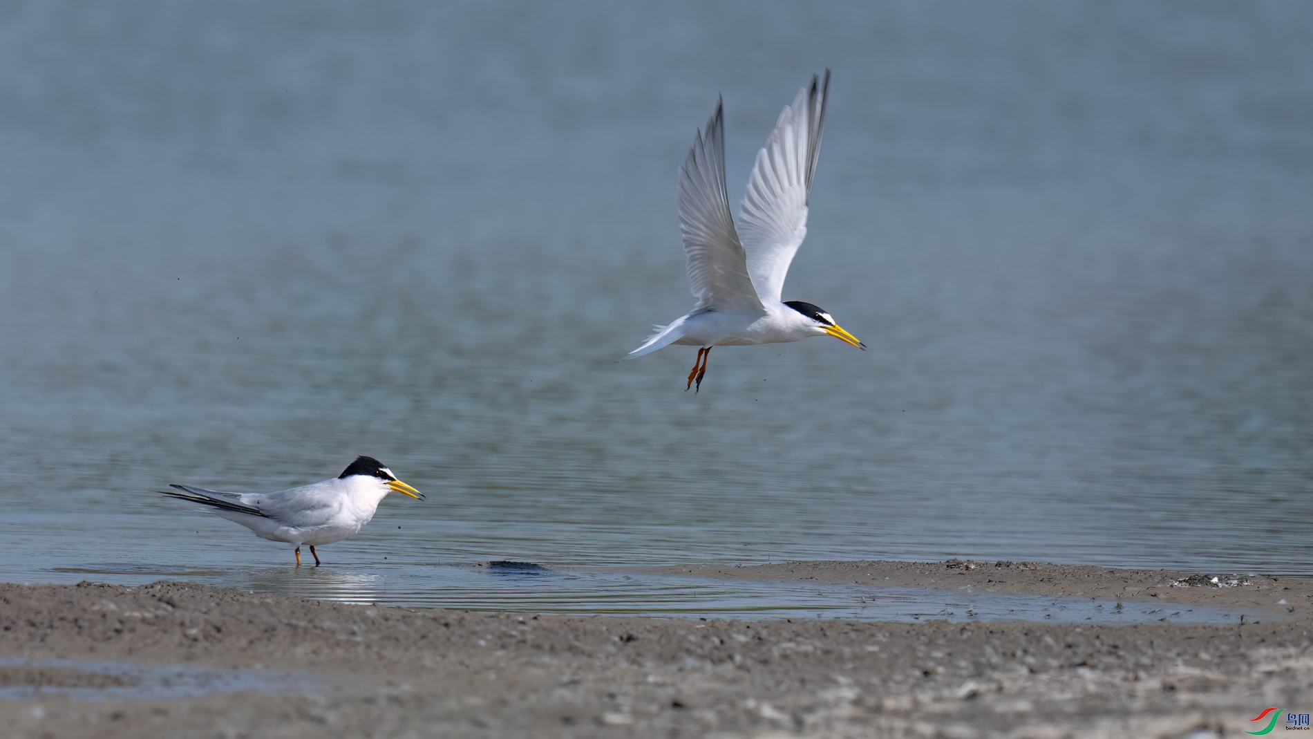 DSC_5548sen2026-4-30-14-�༭.jpg