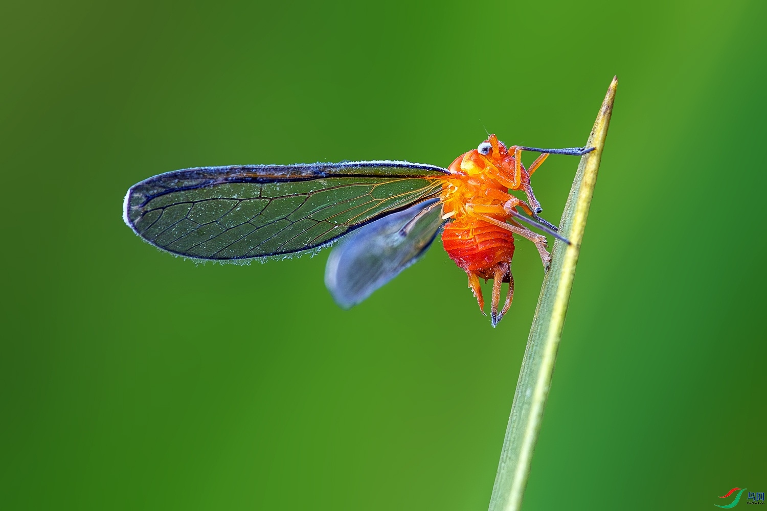 594A7217-����ǿ-NR.JPG