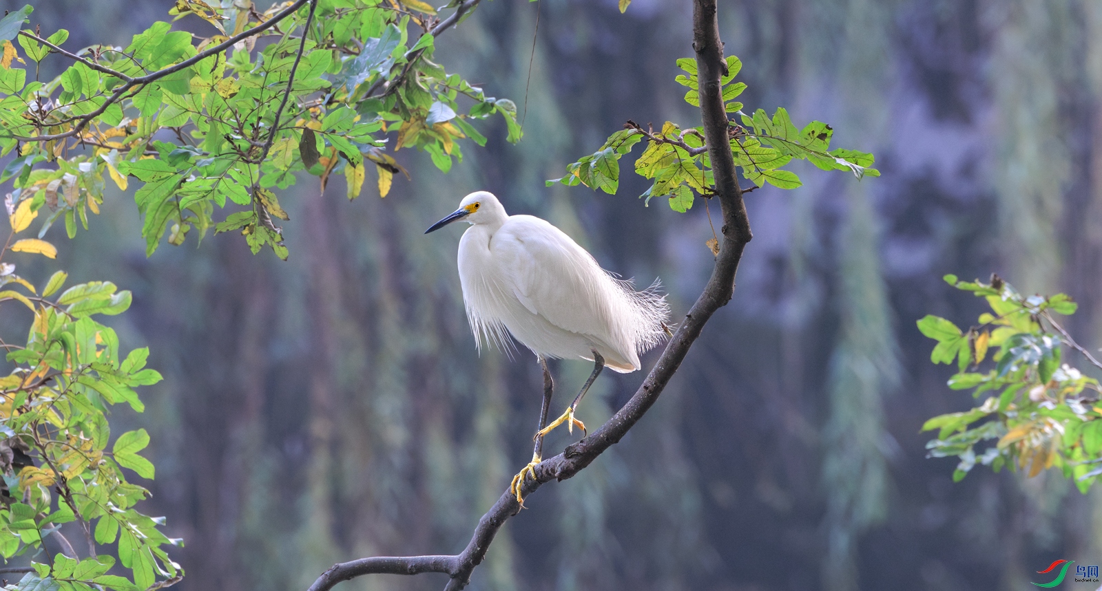 ����1M5A6036-1.jpg