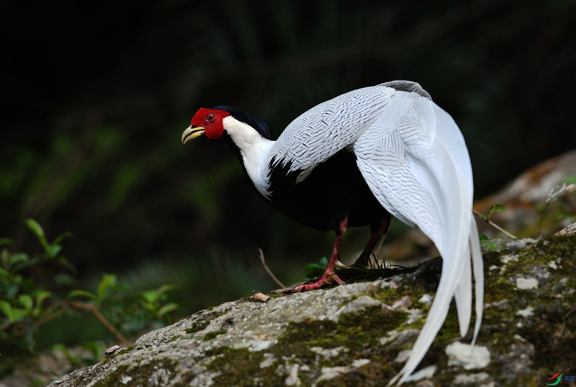 DSC_6316.jpg