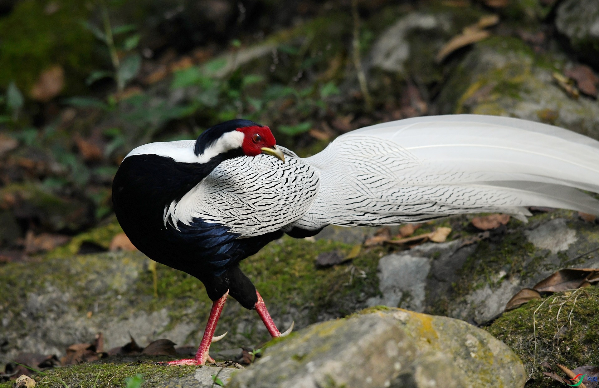 DSC_6079.jpg