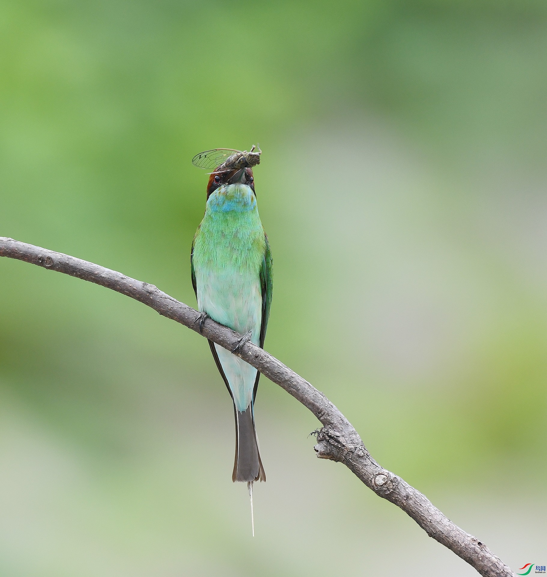 DSC_5880.jpg