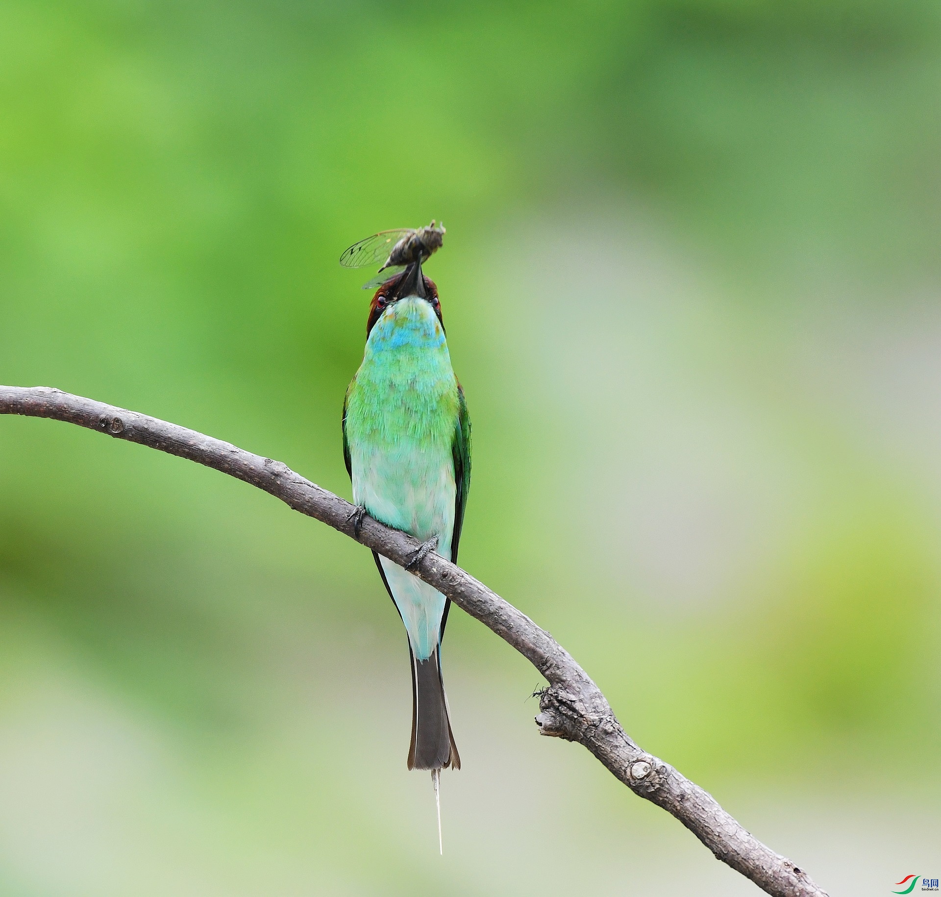 DSC_5879.jpg