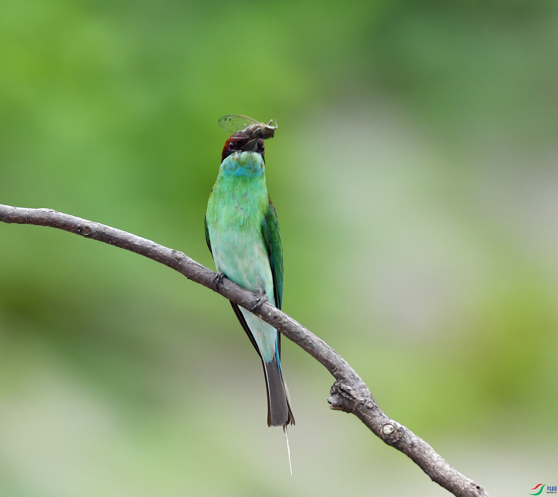 DSC_5821.jpg