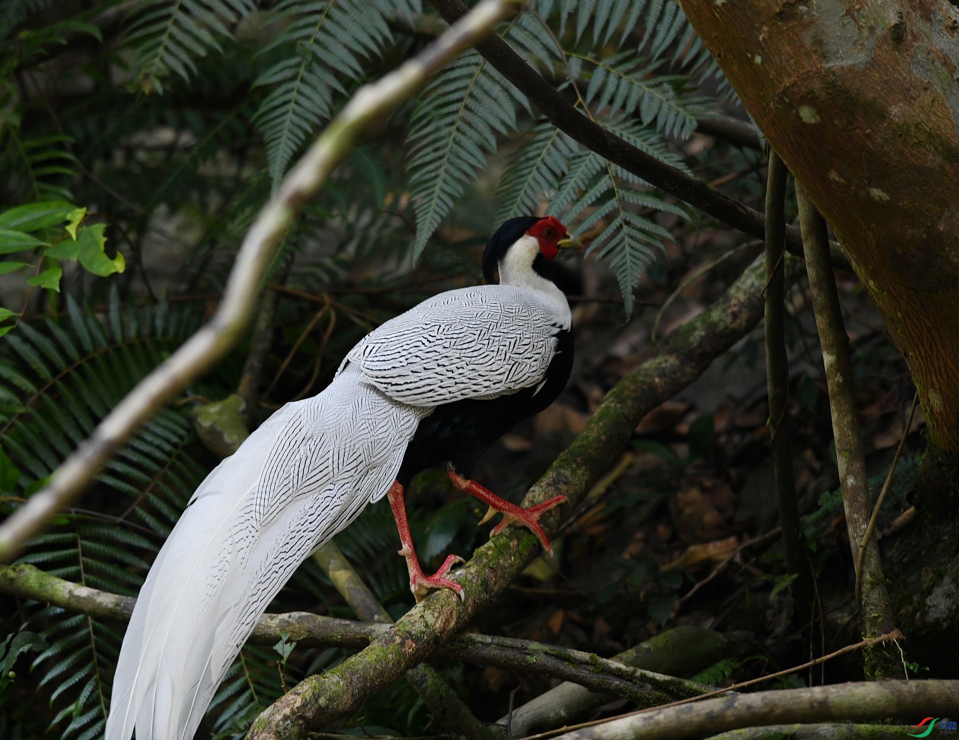DSC_5876.jpg
