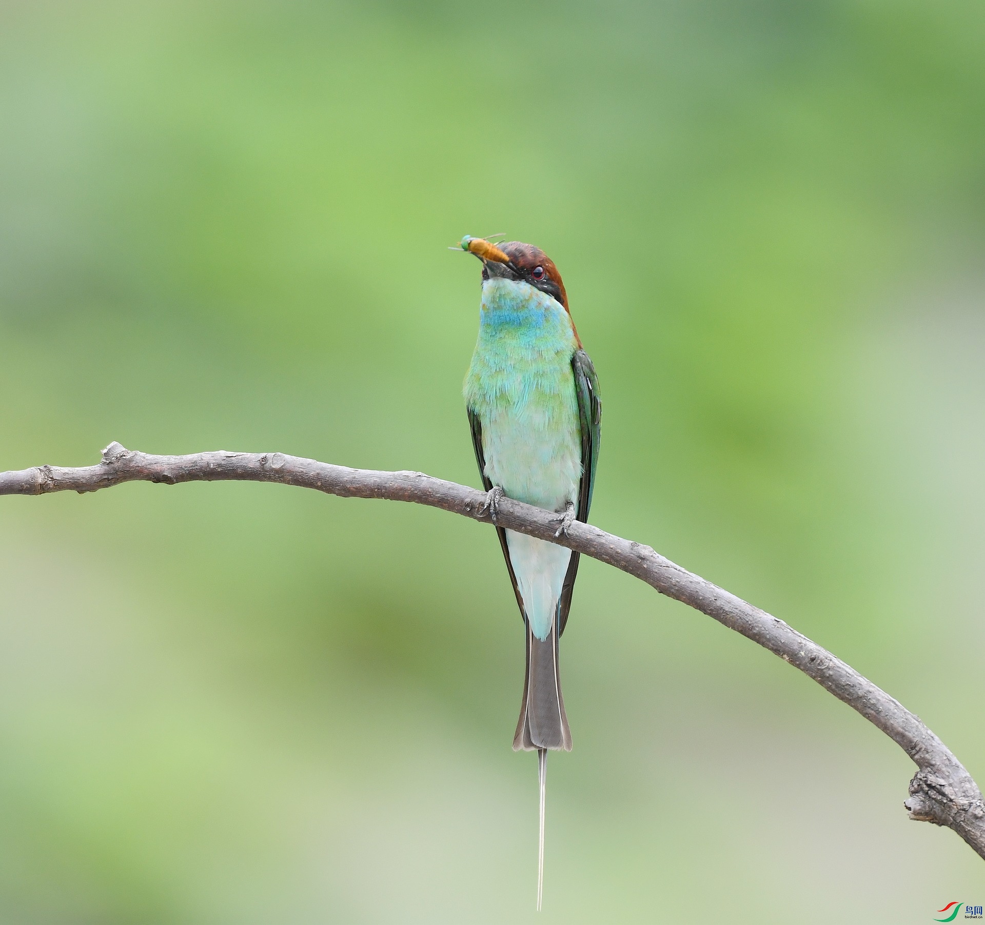 DSC_5920.jpg