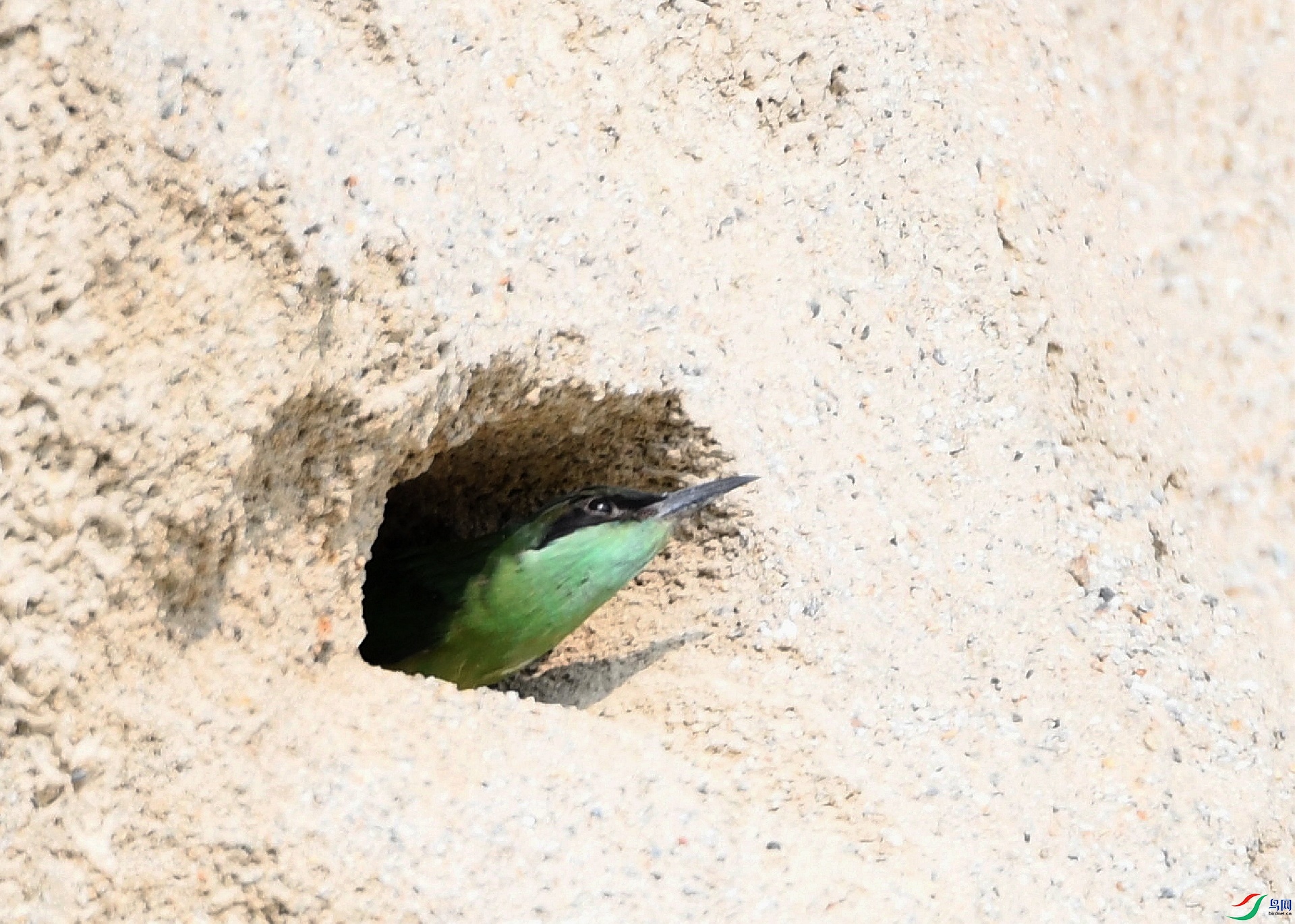DSC_6799.jpg