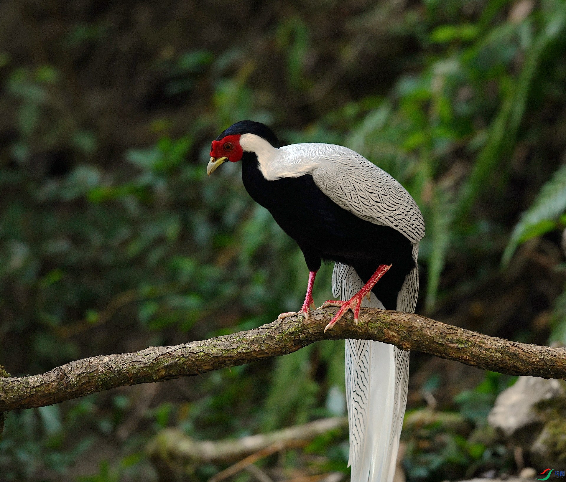 DSC_5810.jpg
