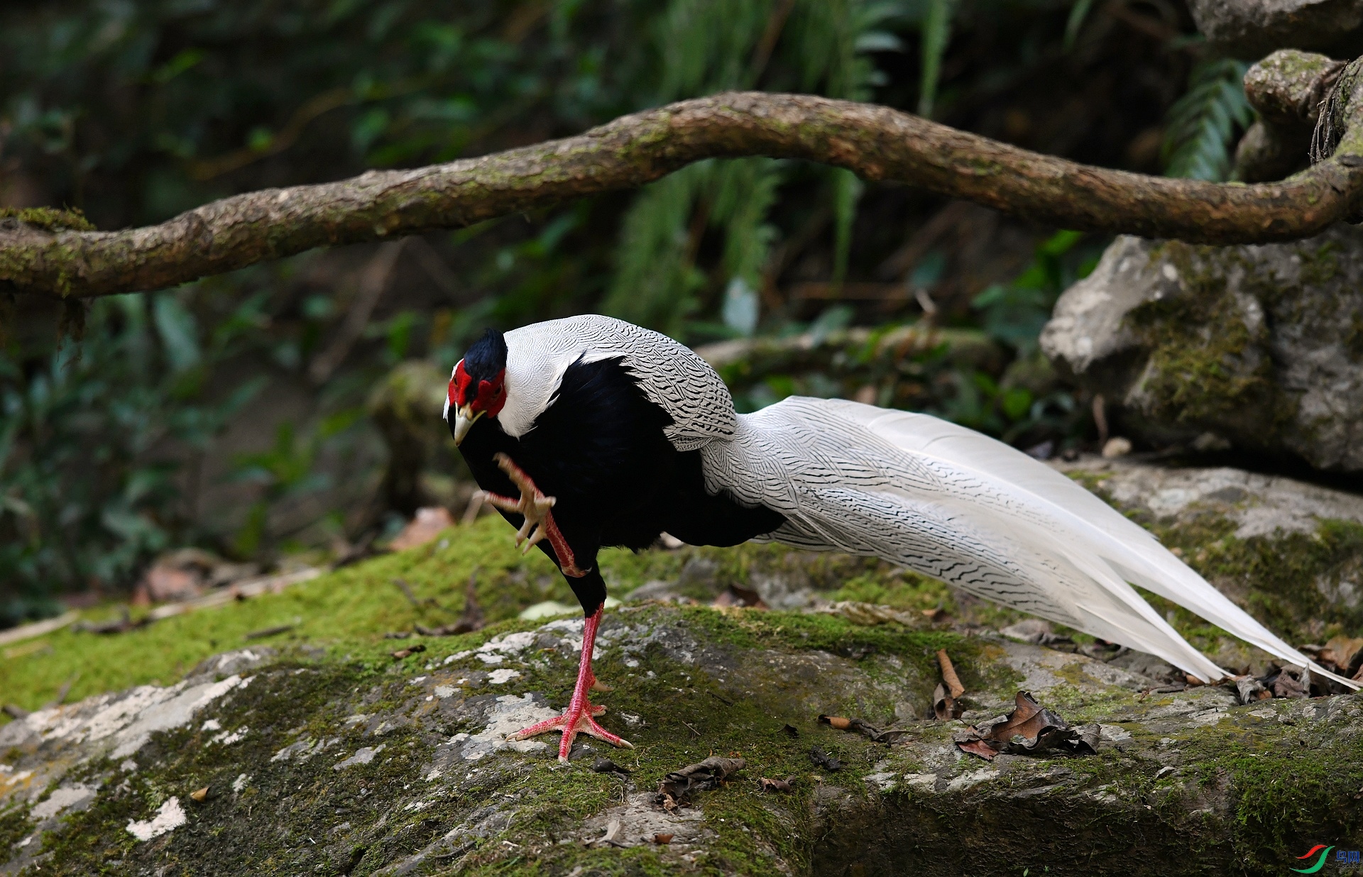 DSC_5808.jpg