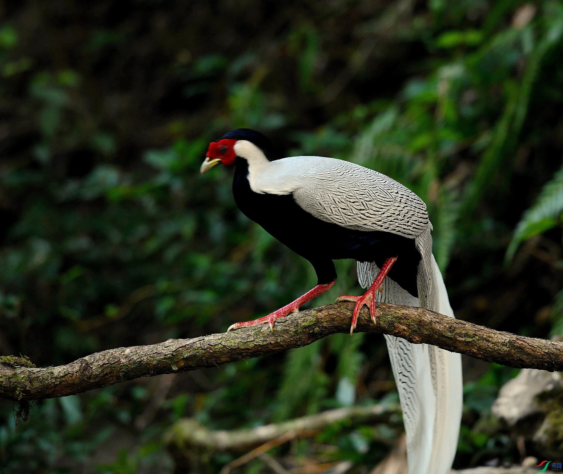 DSC_5811.jpg