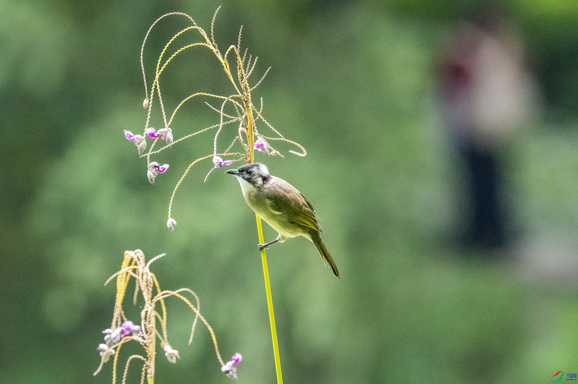 DSC_7540.jpg