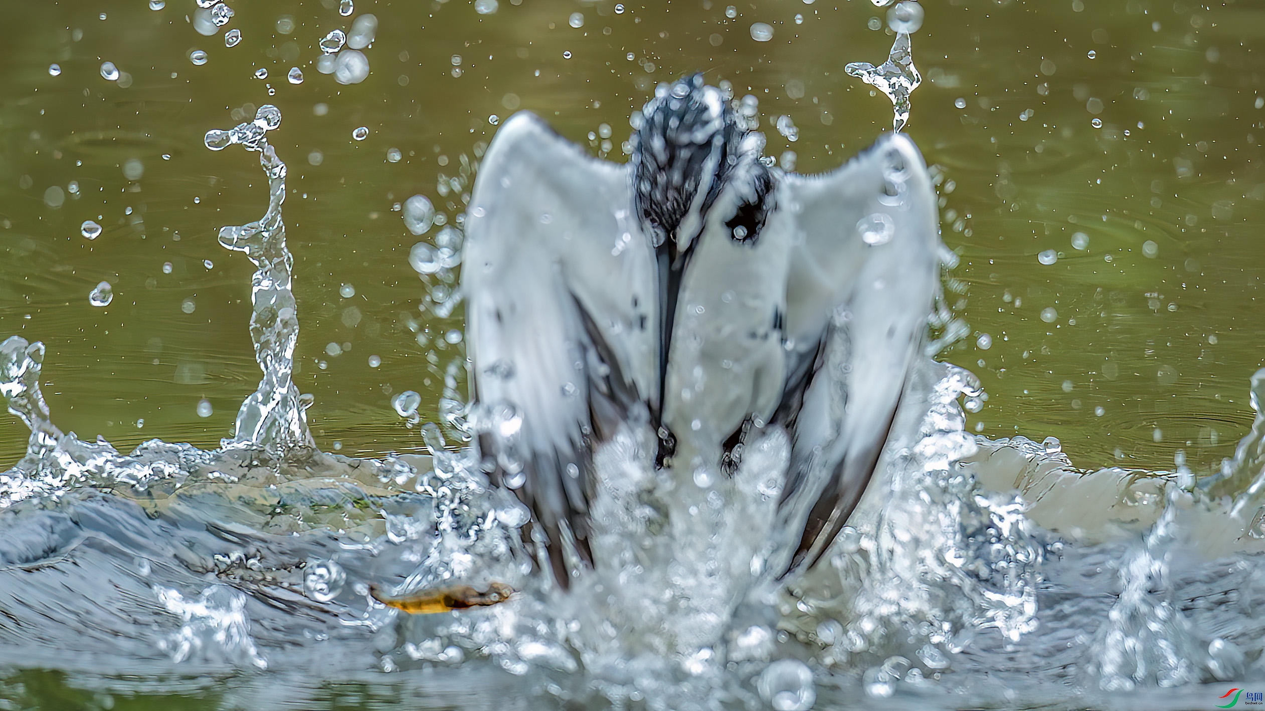 DSC_4052.jpg