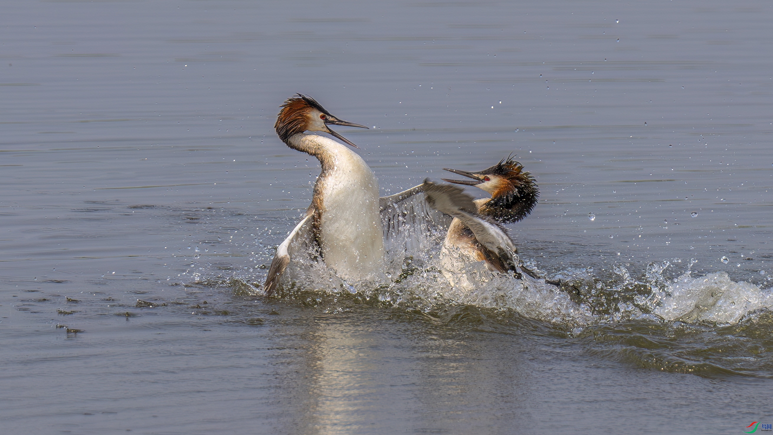 DSC_5658.jpg
