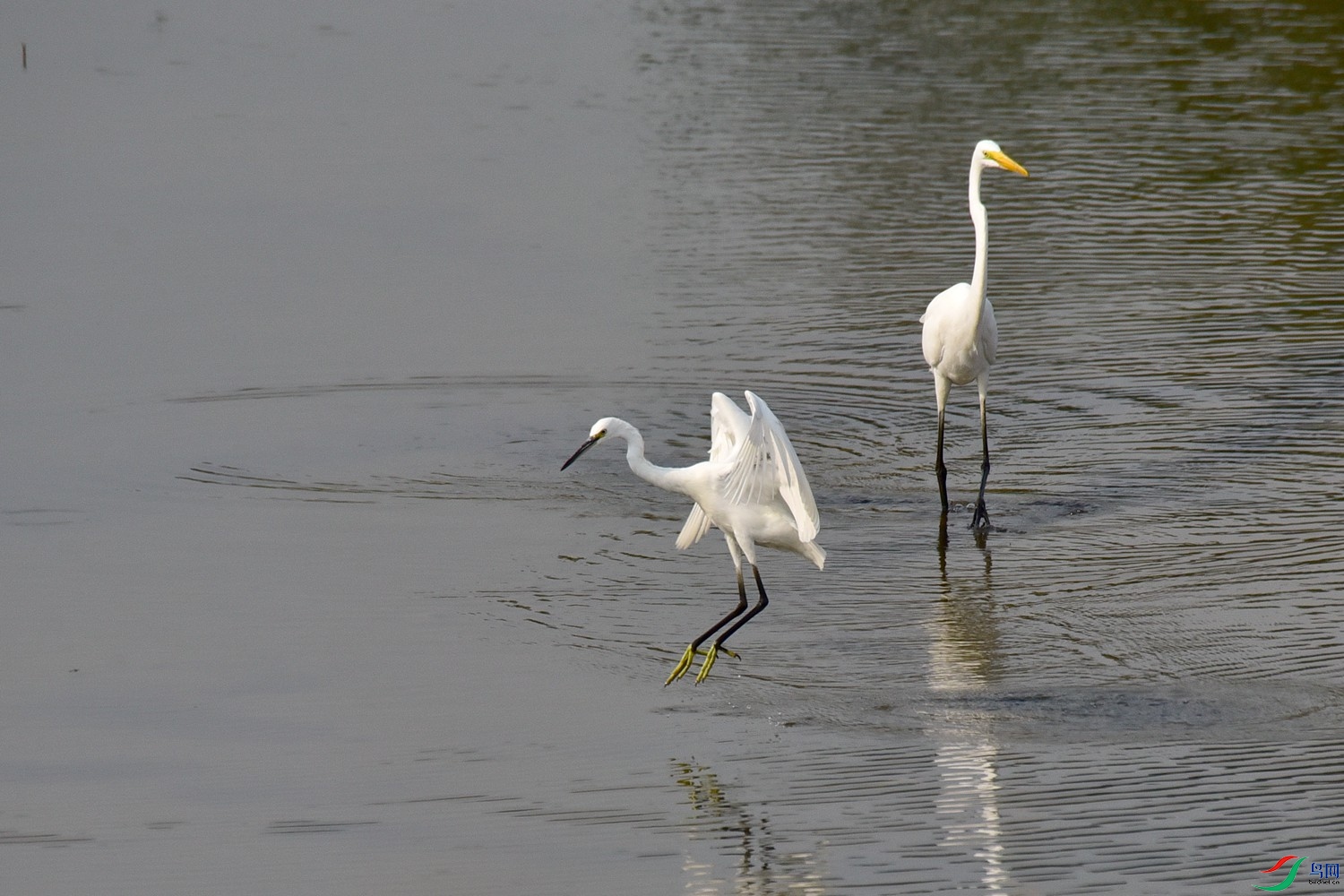 DSC_4057.JPG