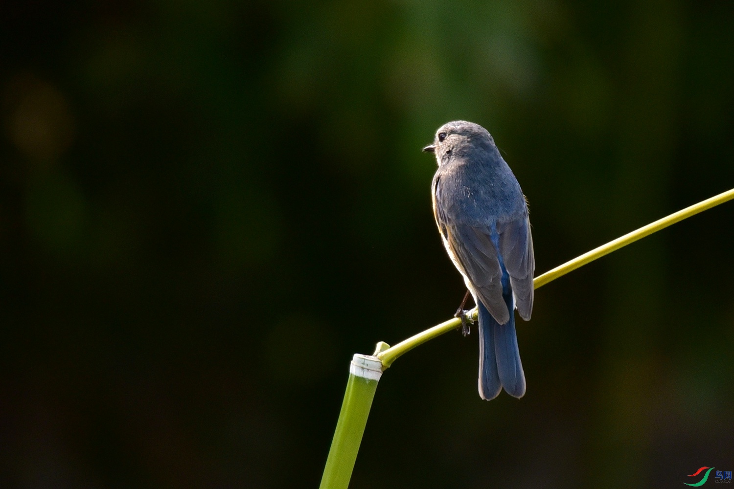 DSC_8029.JPG