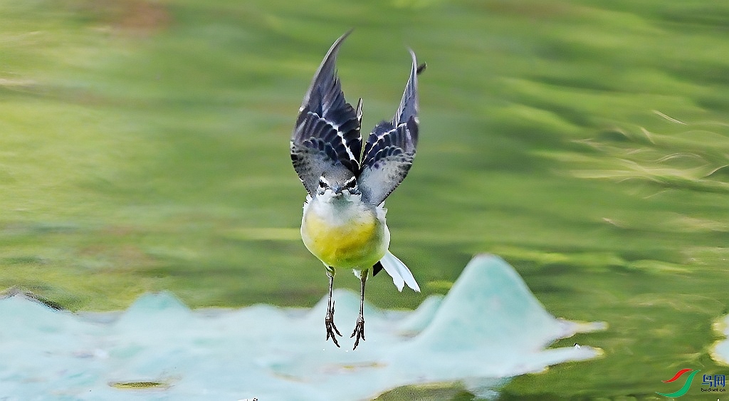 DSC_7917.JPG