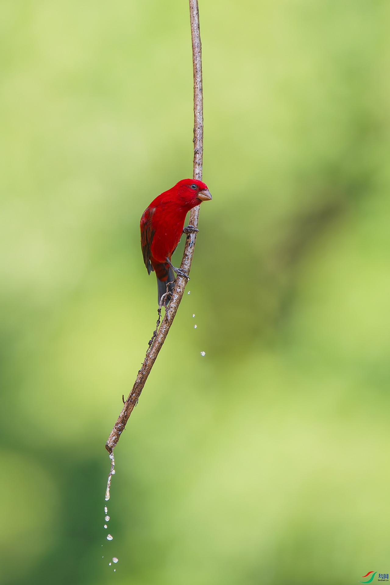 DSC_8374_DxO_DxO.jpga.jpg
