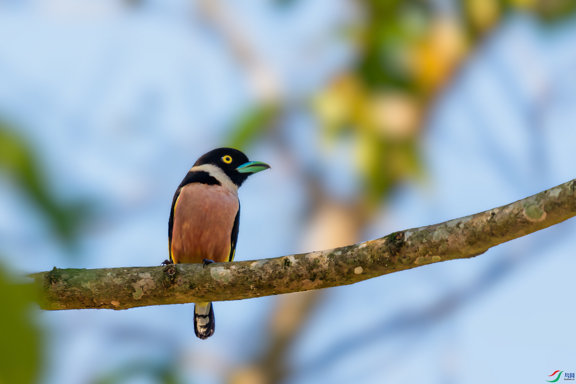 DSC_8108-1.jpg