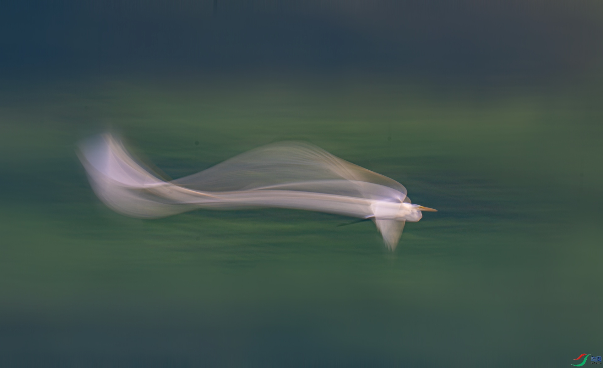 _DSC6036xx.jpg