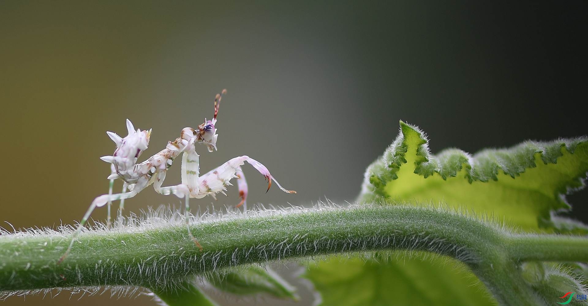 DSC_6776_����.jpg