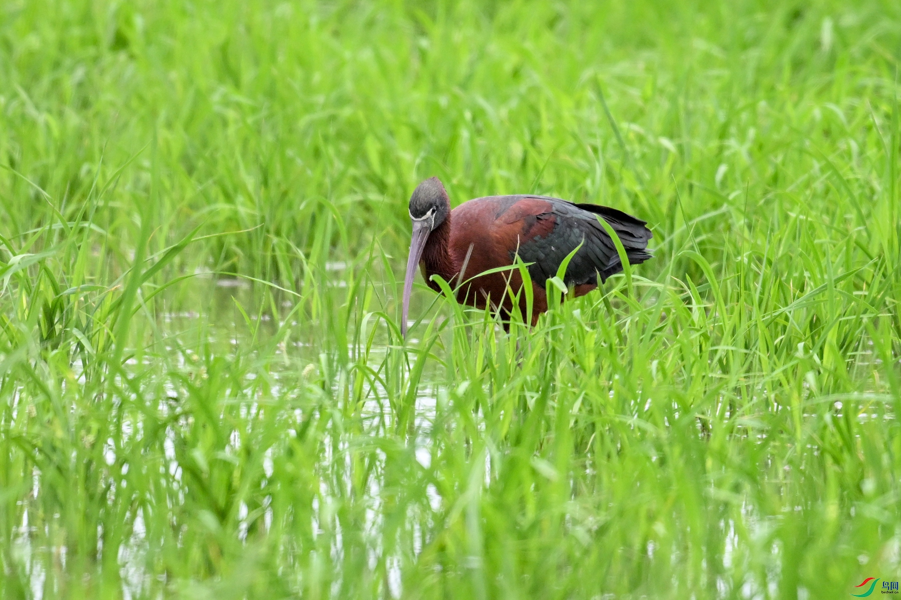 DSC_8361.JPG