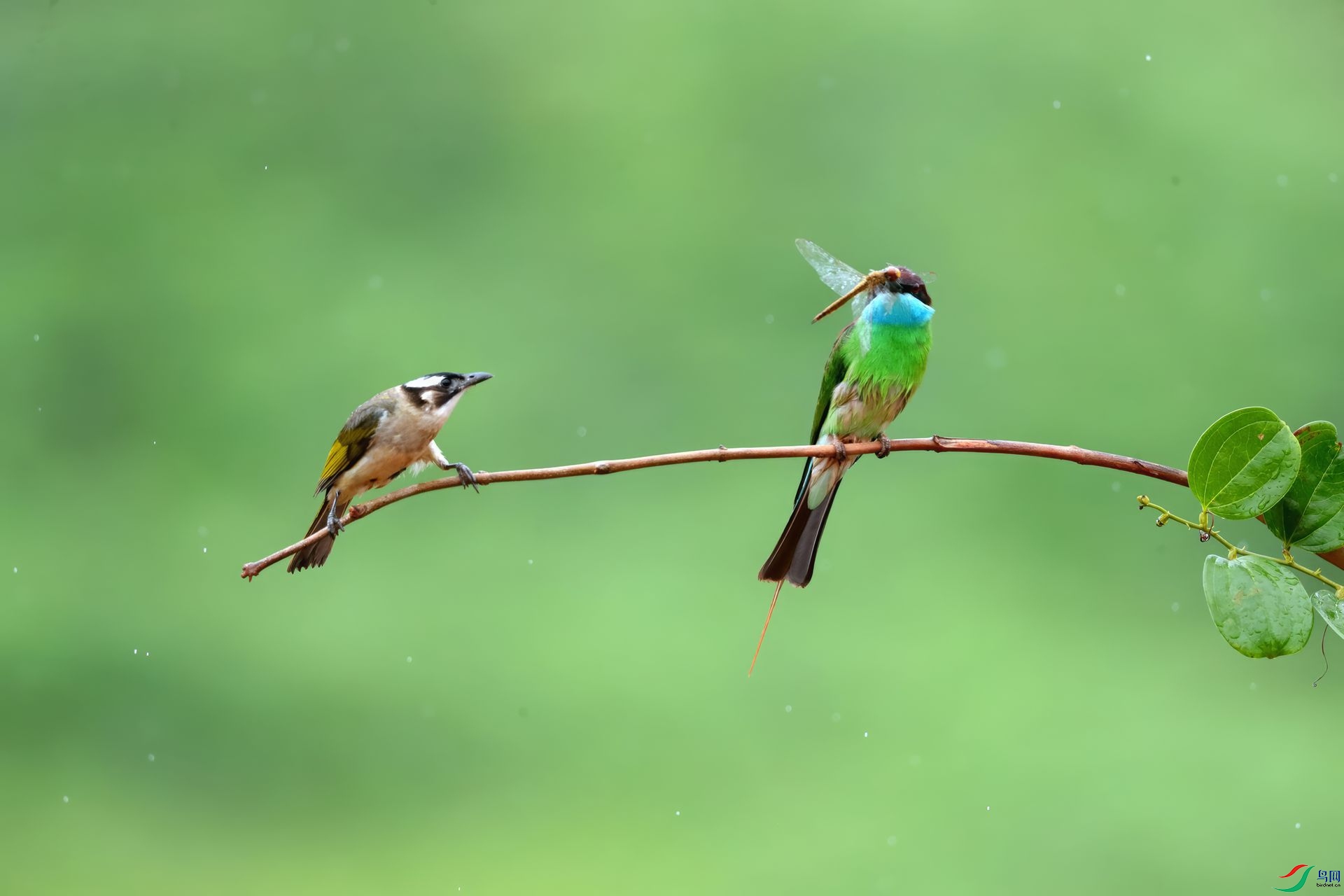 0AR2I1313_����_����-topaz-2.jpeg