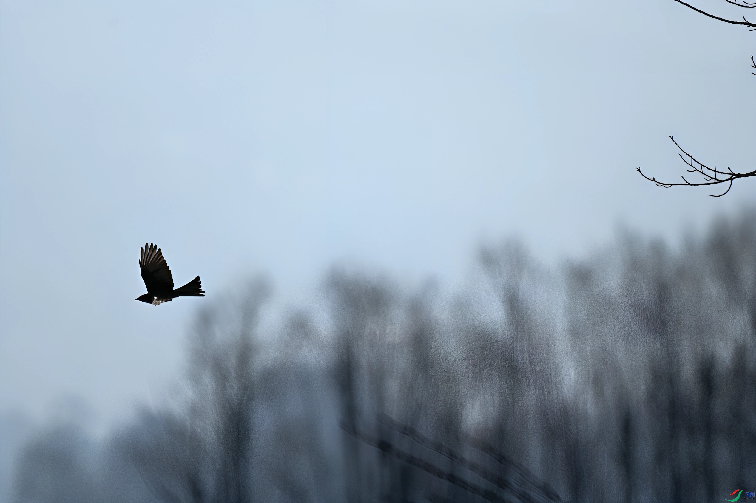 DSC_2286_����_����.jpg
